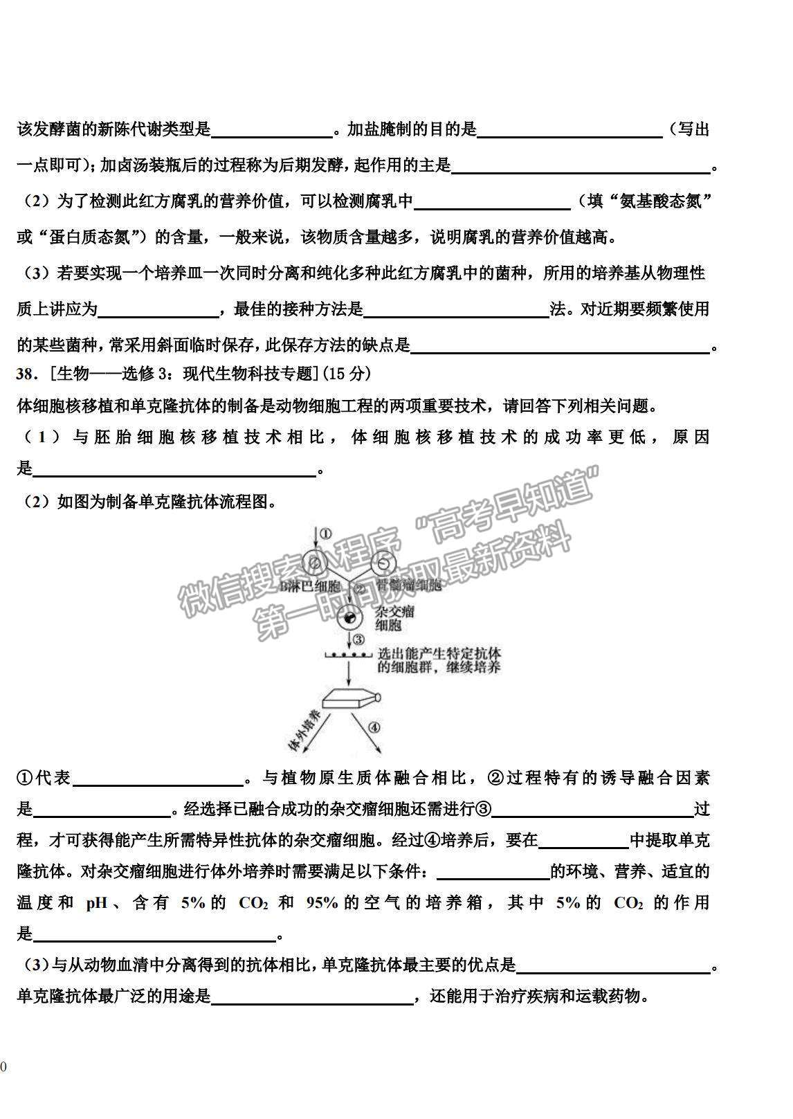 2022黑龍江省哈師大附中高三上學期期末考試理綜試題及參考答案