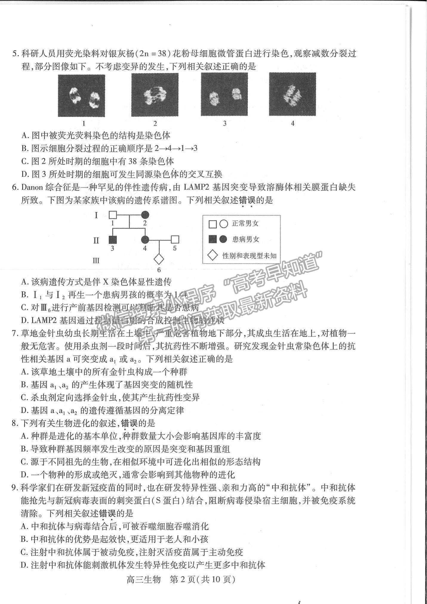 2022江蘇省蘇州市高三上學期期中調研測試生物試題及參考答案