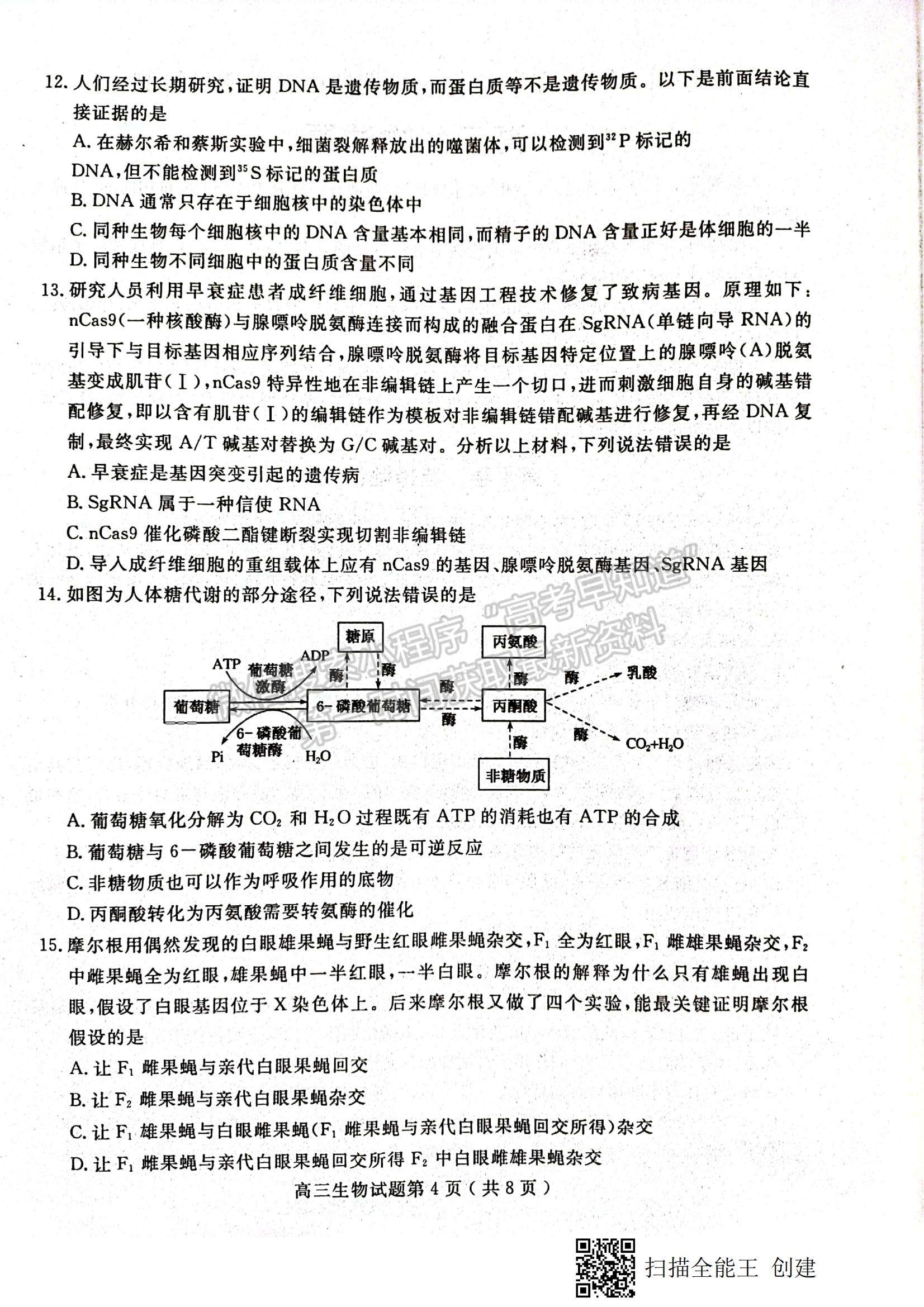 2022山東省聊城市高三上學期期中考試生物試題及參考答案