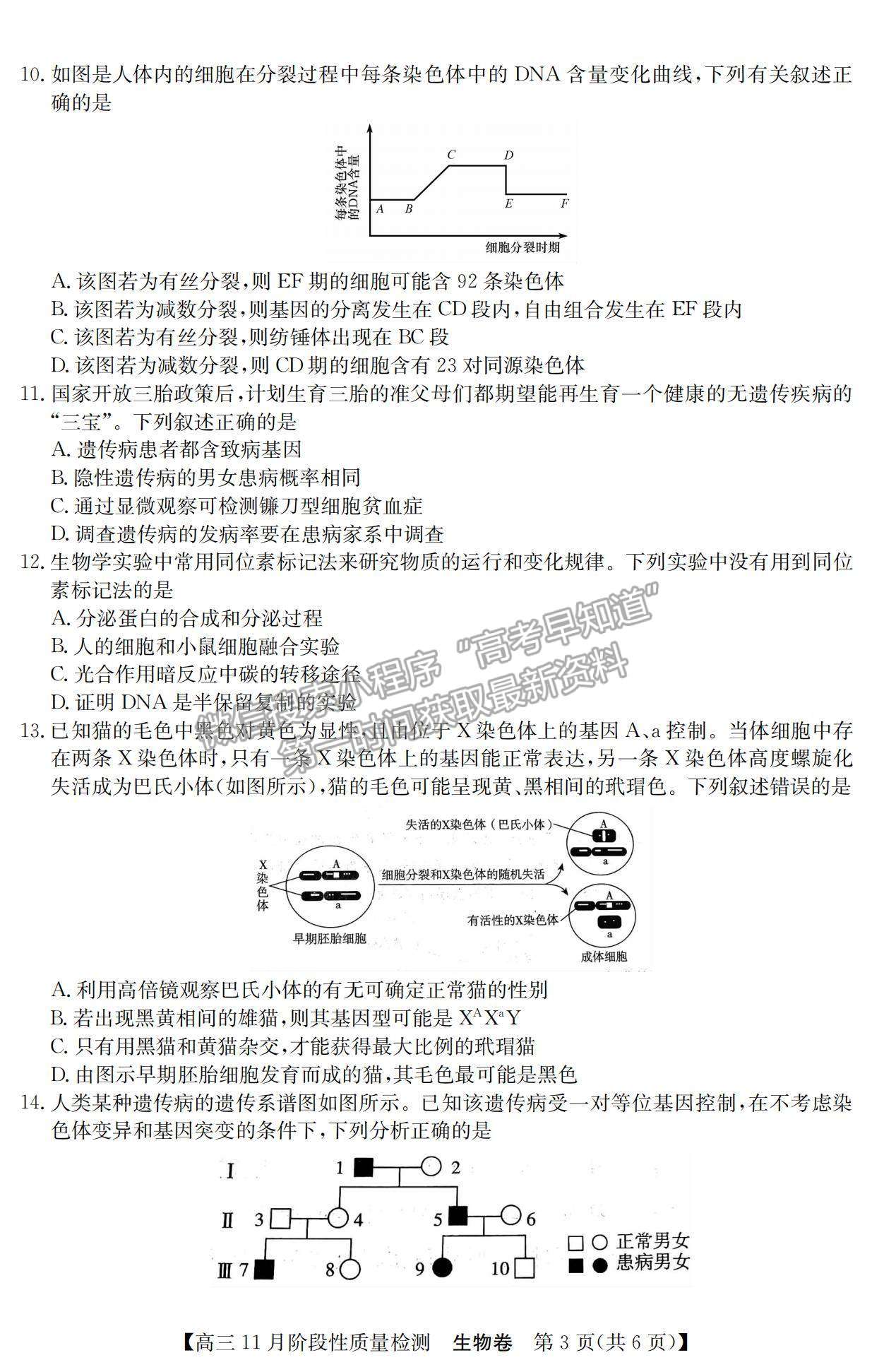 2022廣東11月階段質(zhì)量檢測（縱千文化）、廣東八校高三聯(lián)考生物試題及參考答案