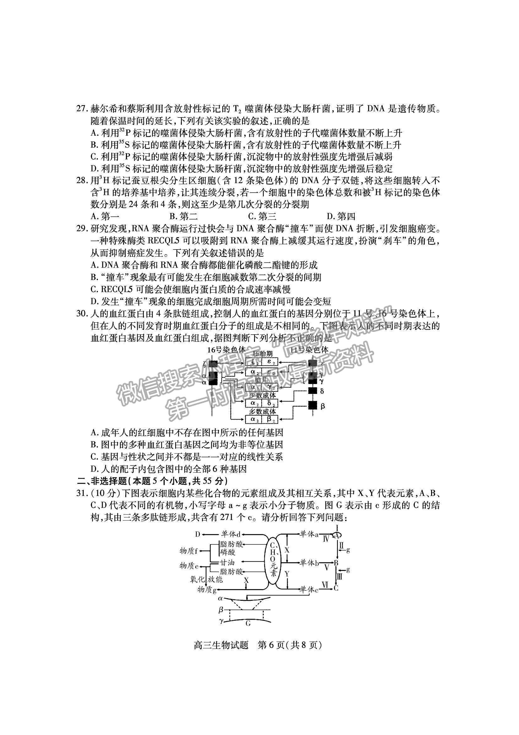 2022山西運(yùn)城市高三上學(xué)期期中調(diào)研測(cè)試生物試卷及答案