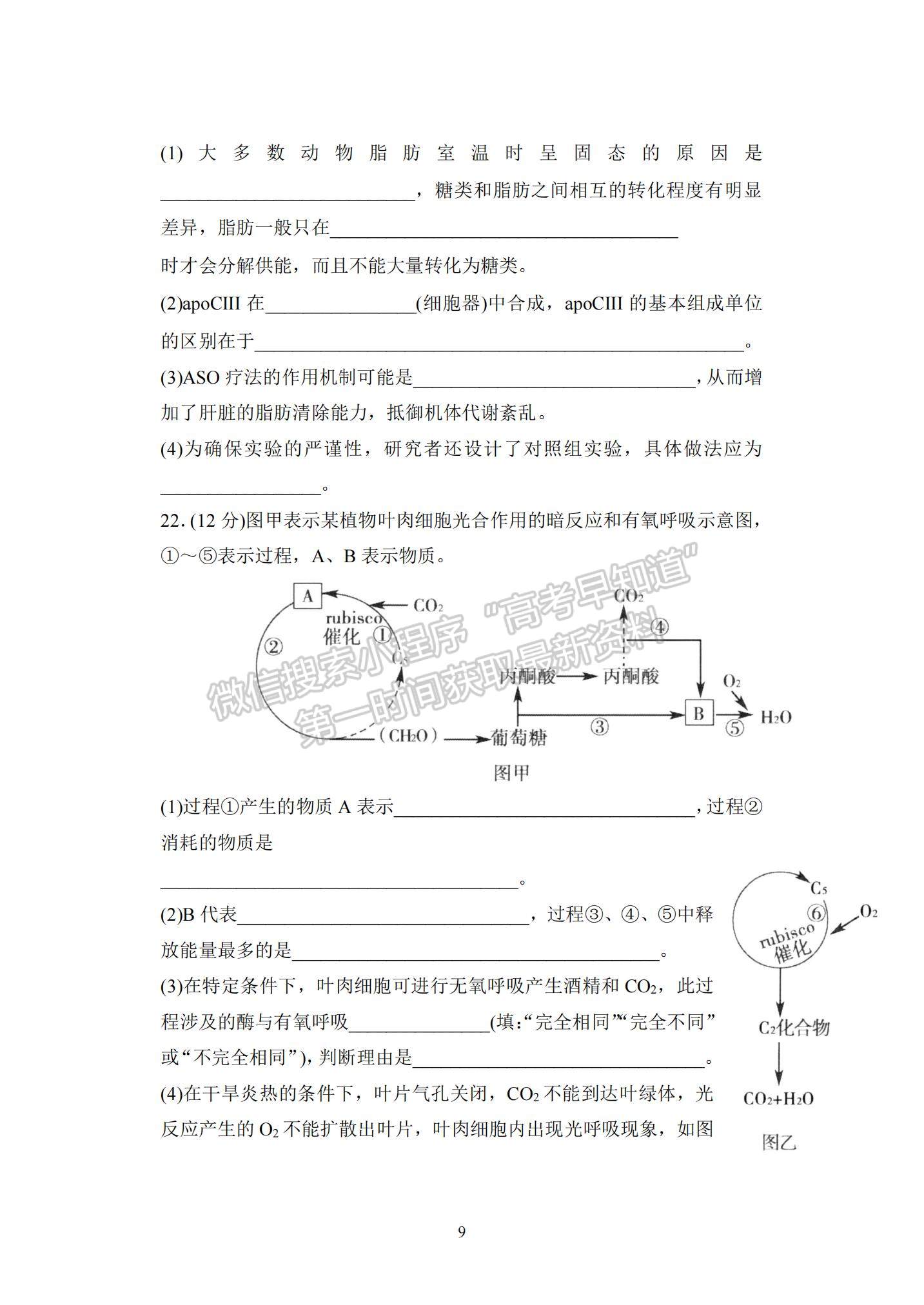 山東省泰安市2021-2022學年高三上學期期中考試生物試題及答案