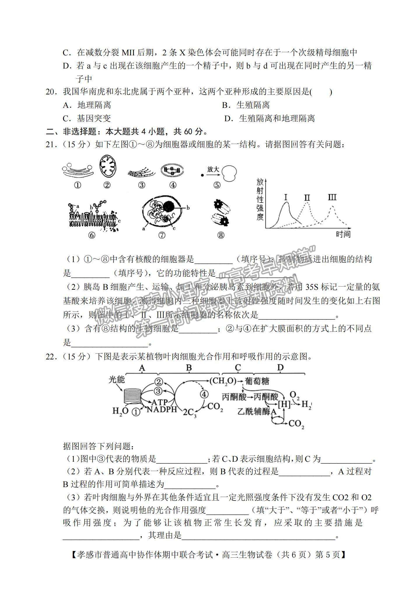 2022湖北省孝感市高中協(xié)作體高三上學期期中聯(lián)考生物試題及參考答案