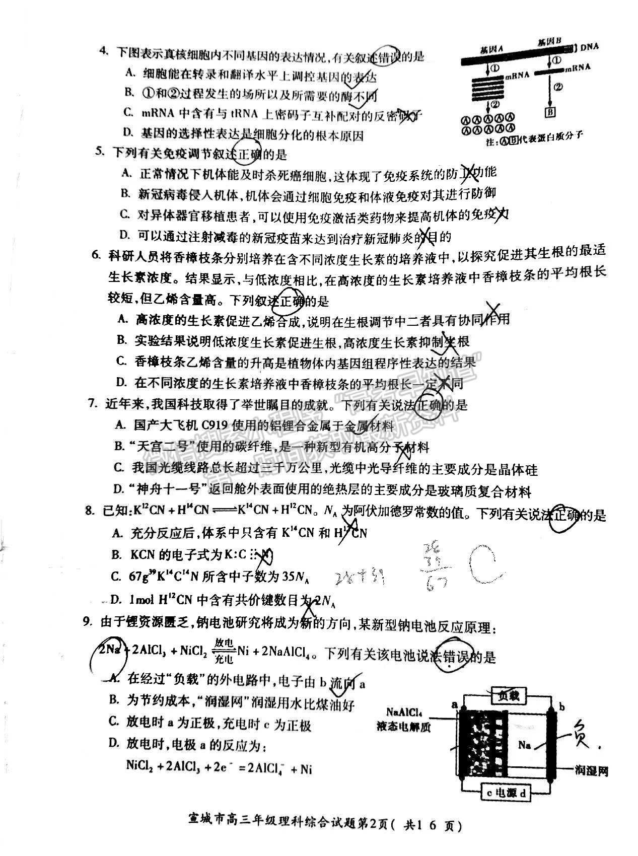 2022宣城一模理綜試卷及答案