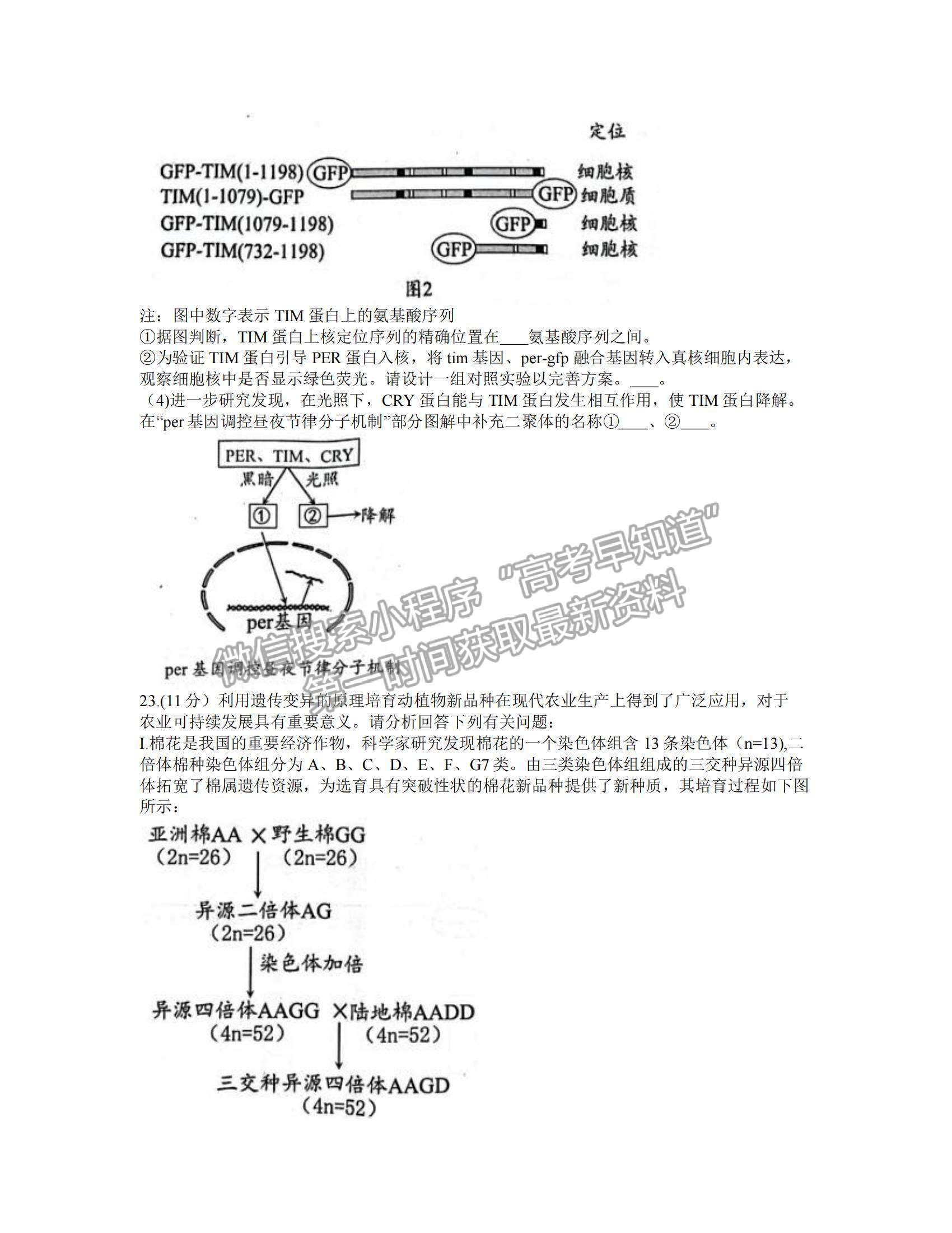 2022江蘇省揚州市高三上學(xué)期期中考試生物試題及參考答案