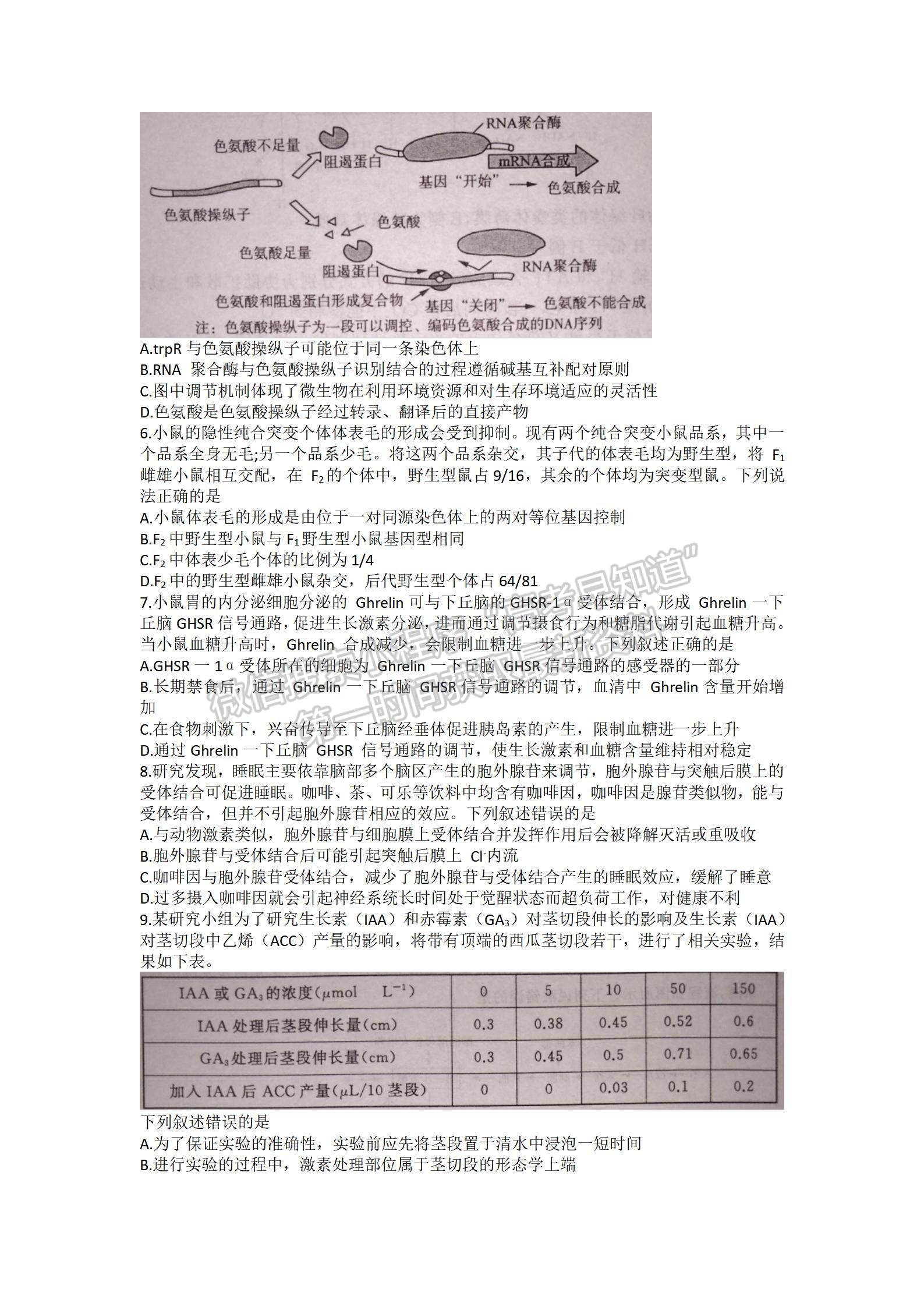 2022屆山東濟(jì)南市高三1月學(xué)情監(jiān)測(cè) 生物試題及參考答案