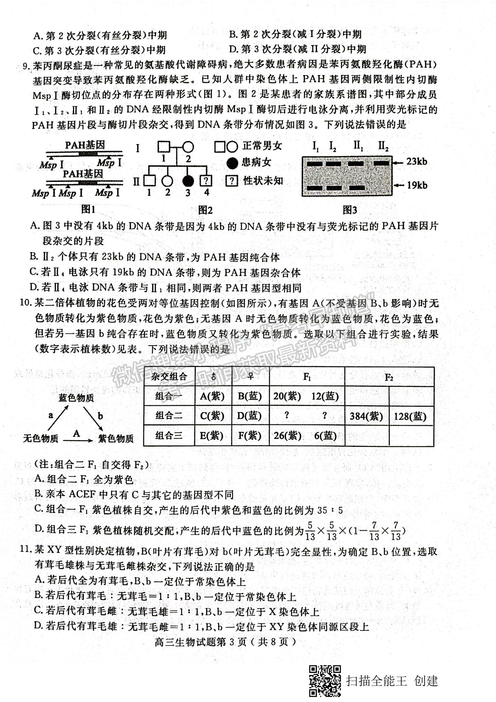 2022山東省聊城市高三上學期期中考試生物試題及參考答案