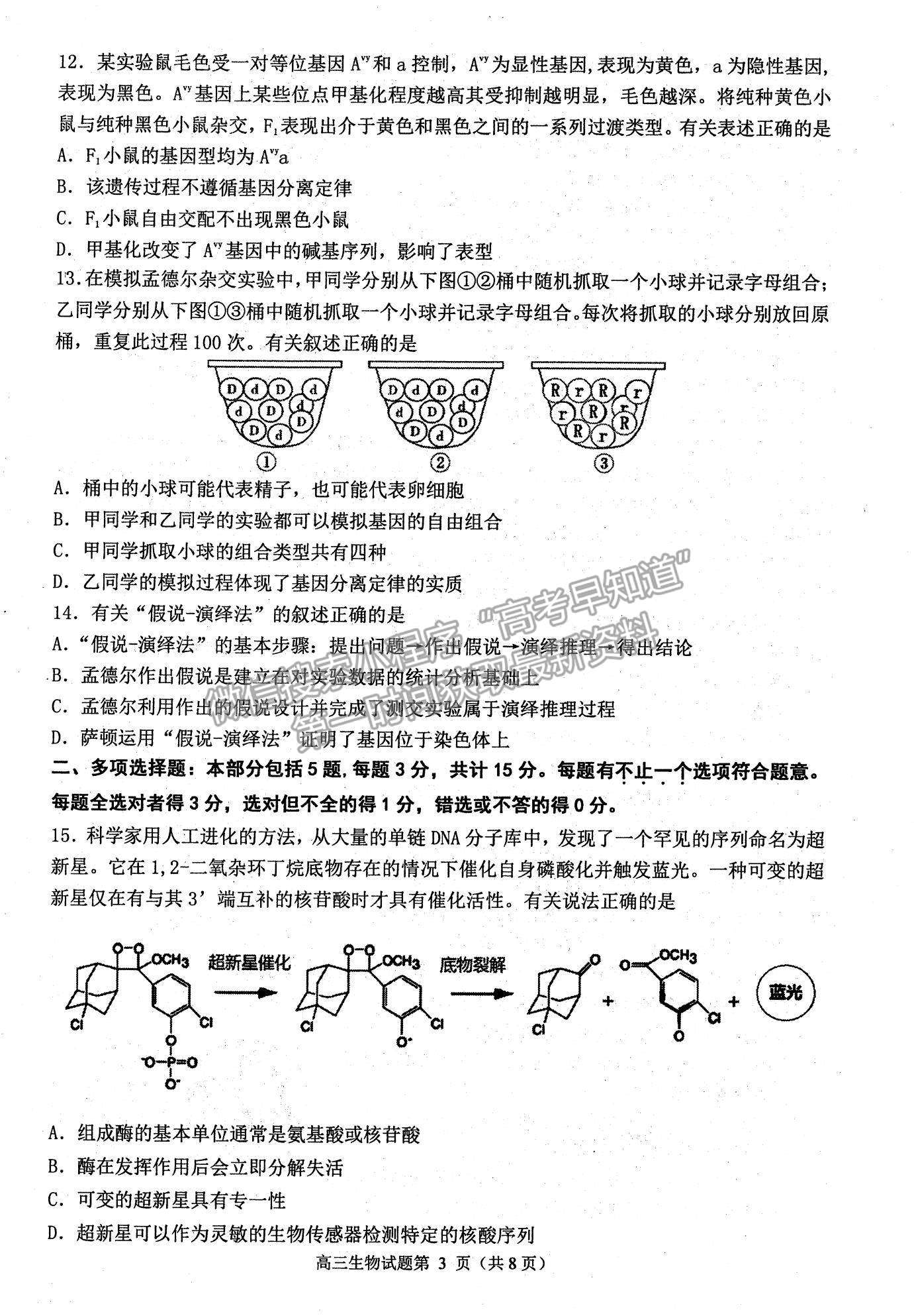 2022江蘇省連云港市高三上學(xué)期期中調(diào)研考試生物試題及參考答案