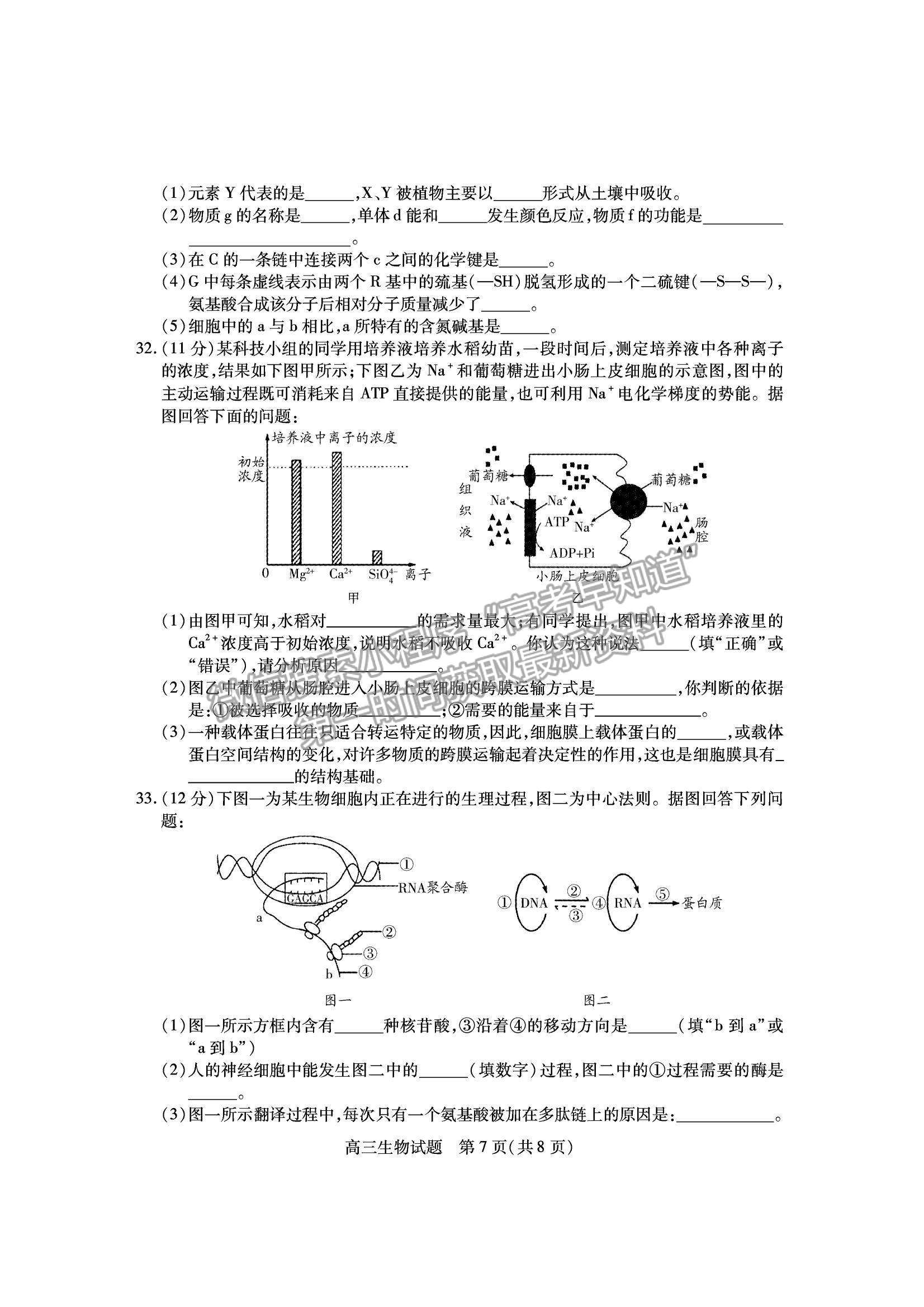 2022山西運(yùn)城市高三上學(xué)期期中調(diào)研測(cè)試生物試卷及答案