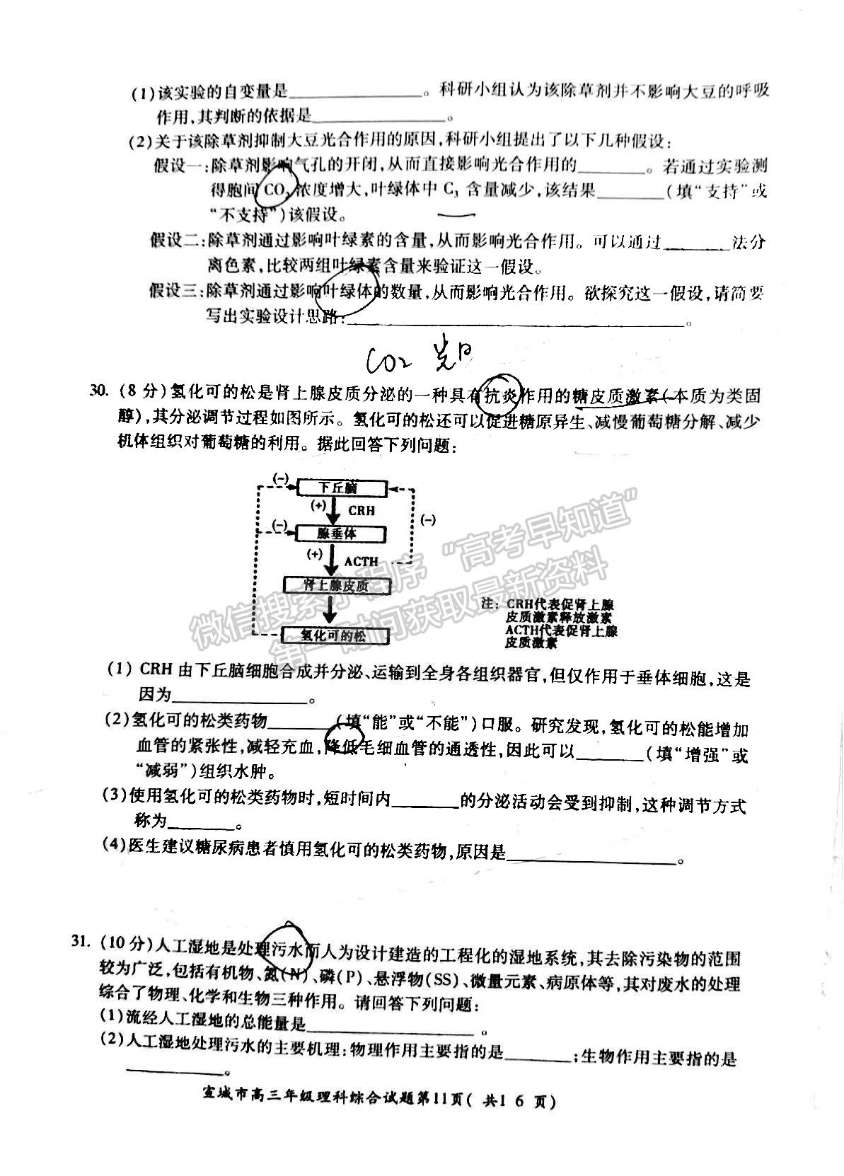 2022宣城一模理綜試卷及答案