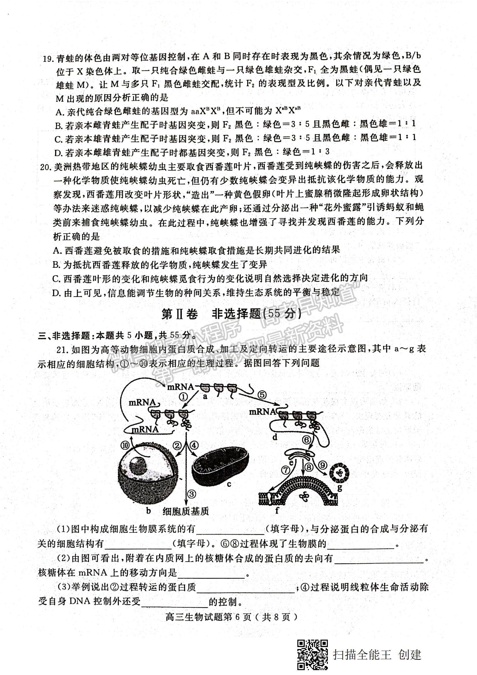 2022山東省聊城市高三上學(xué)期期中考試生物試題及參考答案