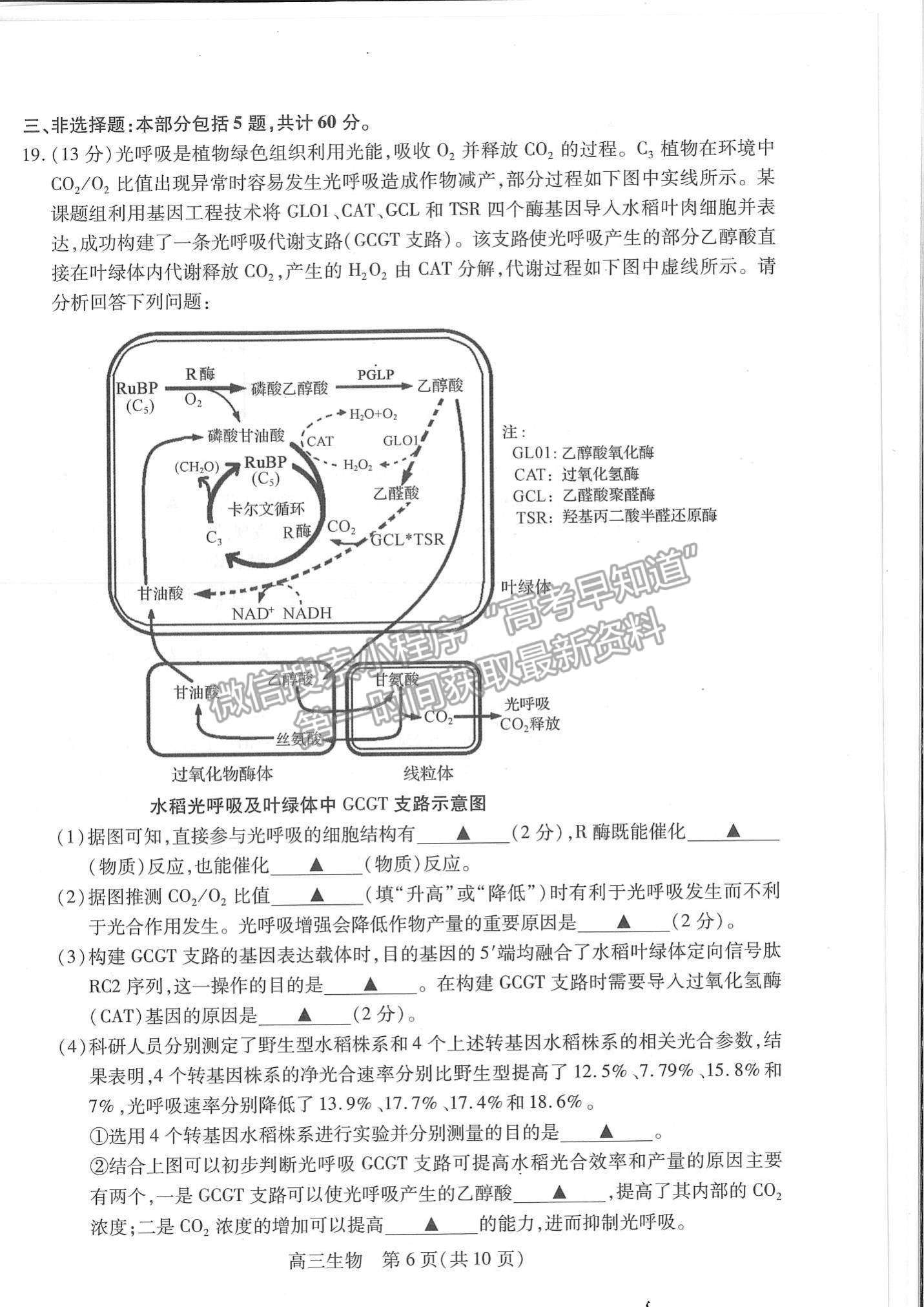 2022江蘇省蘇州市高三上學(xué)期期中調(diào)研測試生物試題及參考答案