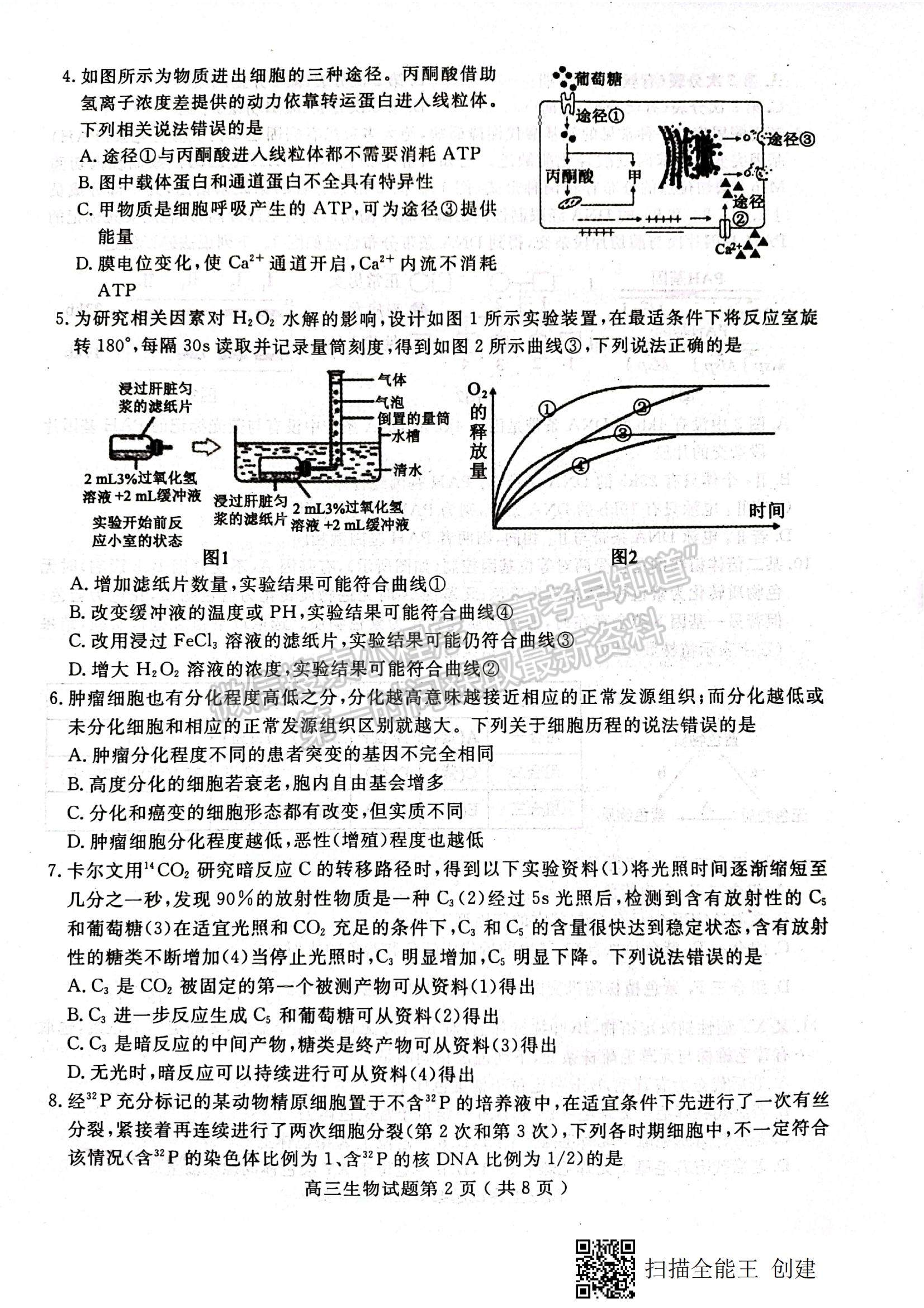 2022山東省聊城市高三上學(xué)期期中考試生物試題及參考答案