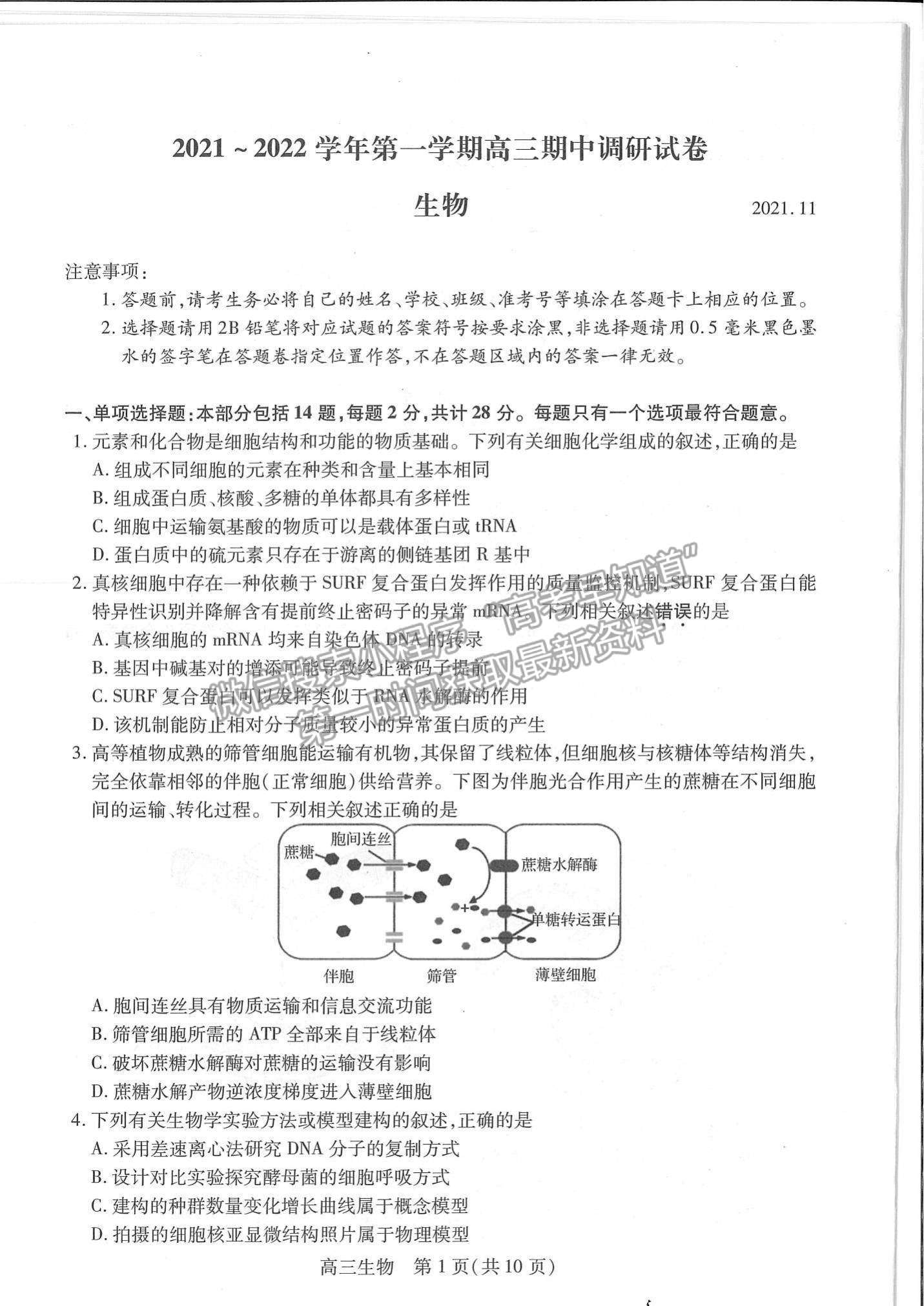 2022江蘇省蘇州市高三上學(xué)期期中調(diào)研測試生物試題及參考答案