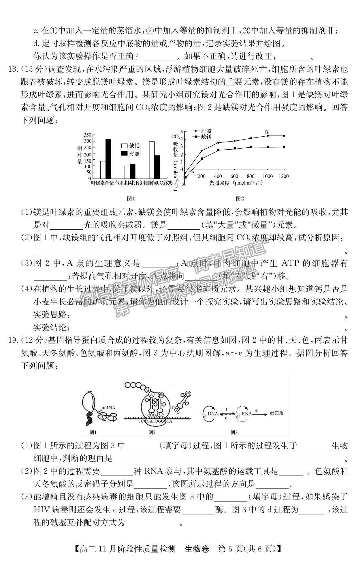 2022廣東11月階段質(zhì)量檢測（縱千文化）、廣東八校高三聯(lián)考生物試題及參考答案