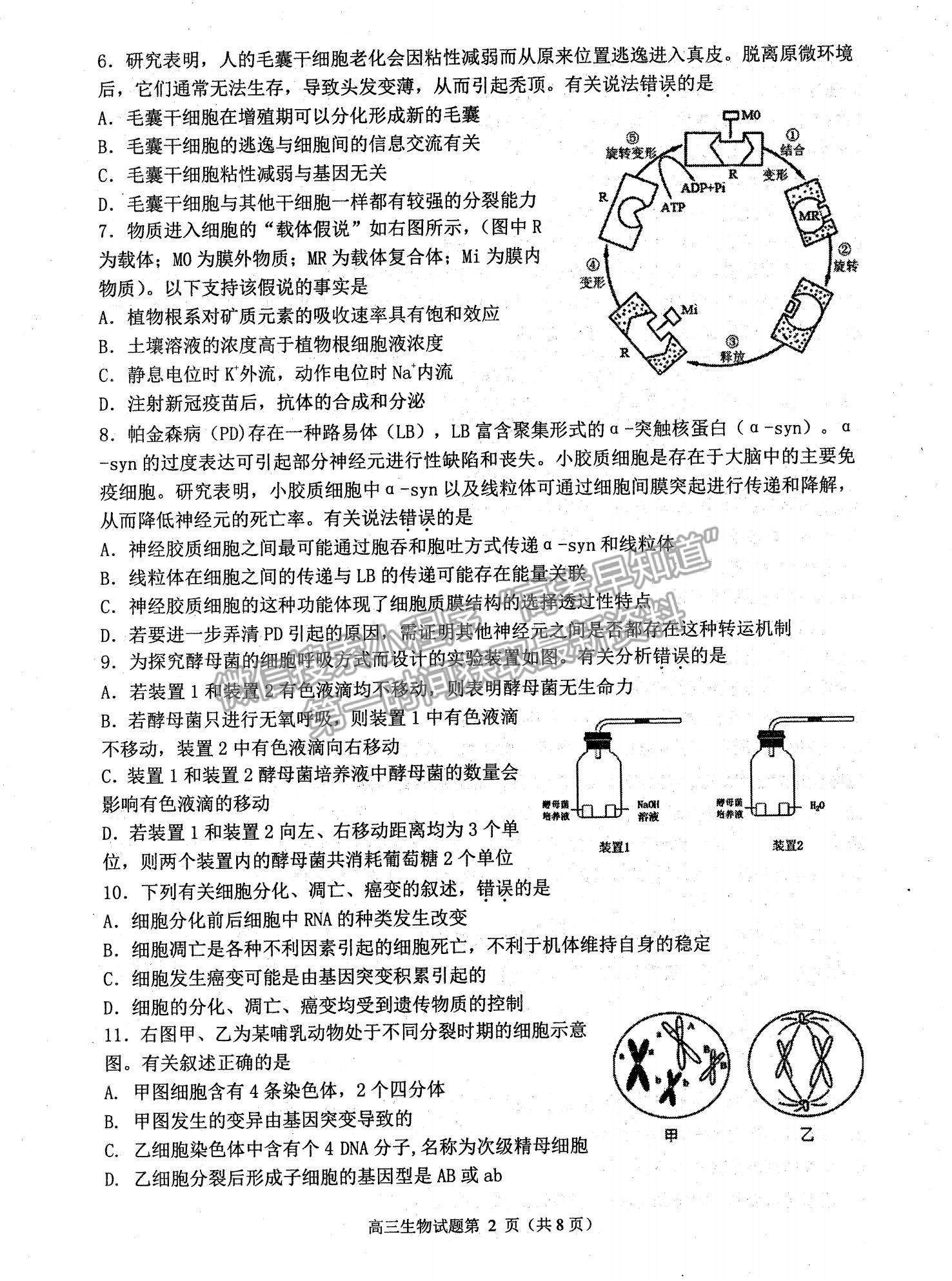 2022江蘇省連云港市高三上學(xué)期期中調(diào)研考試生物試題及參考答案