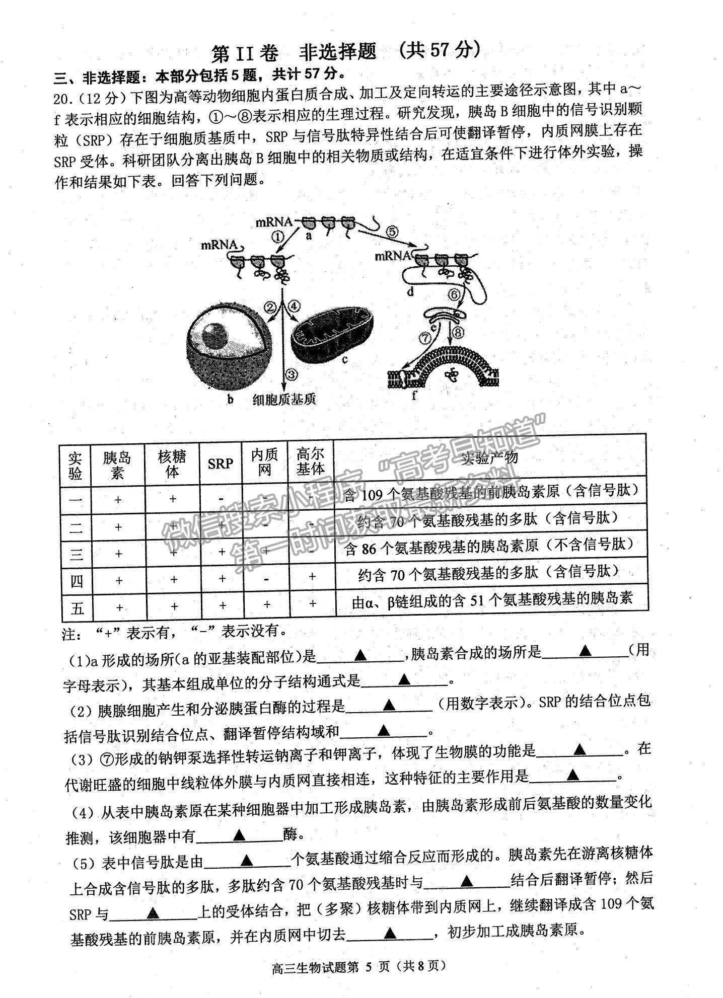 2022江蘇省連云港市高三上學(xué)期期中調(diào)研考試生物試題及參考答案