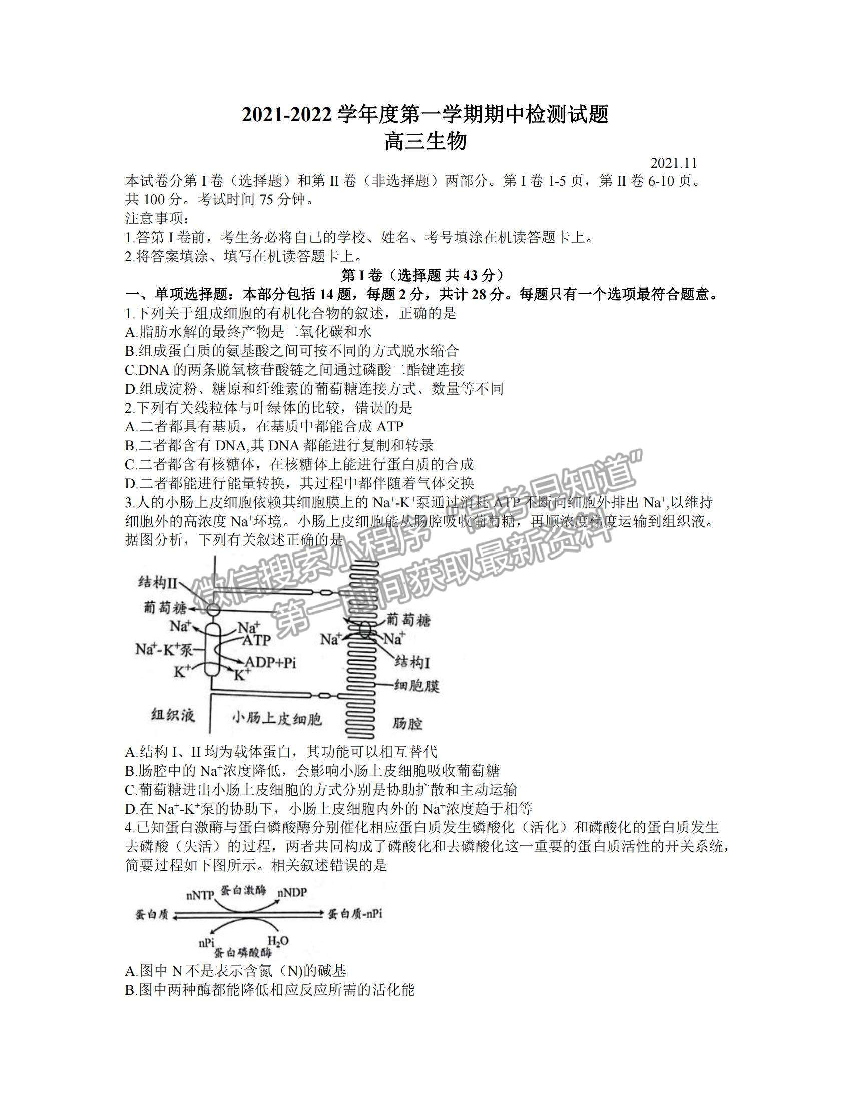 2022江蘇省揚州市高三上學期期中考試生物試題及參考答案