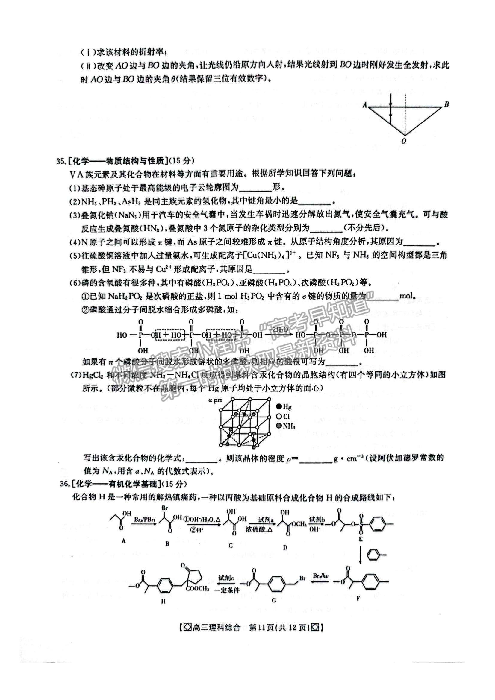 2022陜西省商洛市高三上學(xué)期期末教學(xué)質(zhì)量檢測(cè)理綜試題及參考答案