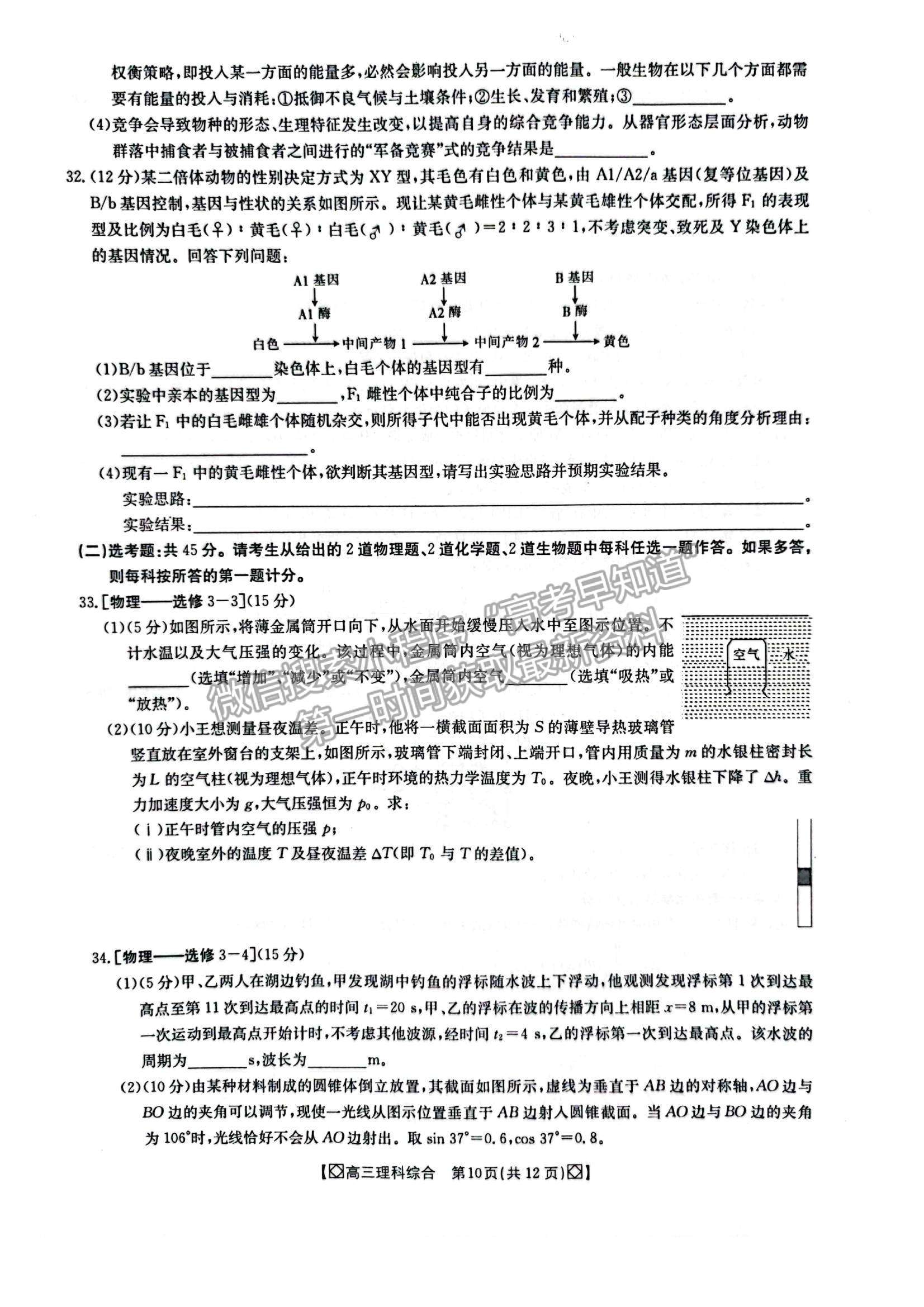 2022陜西省商洛市高三上學(xué)期期末教學(xué)質(zhì)量檢測(cè)理綜試題及參考答案