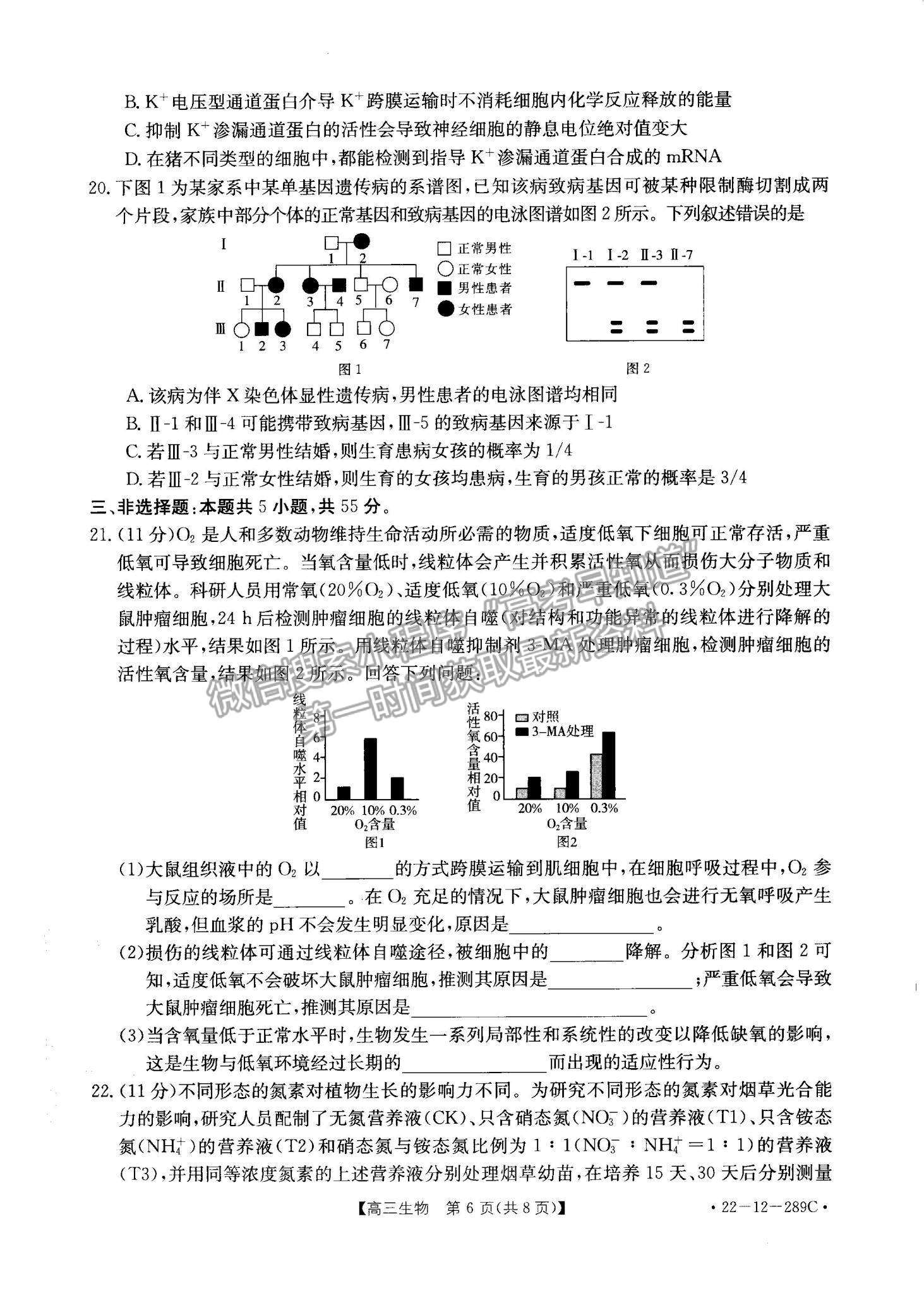 2022遼寧縣級重點高中協(xié)作體高三上學(xué)期期末考試生物試題及參考答案