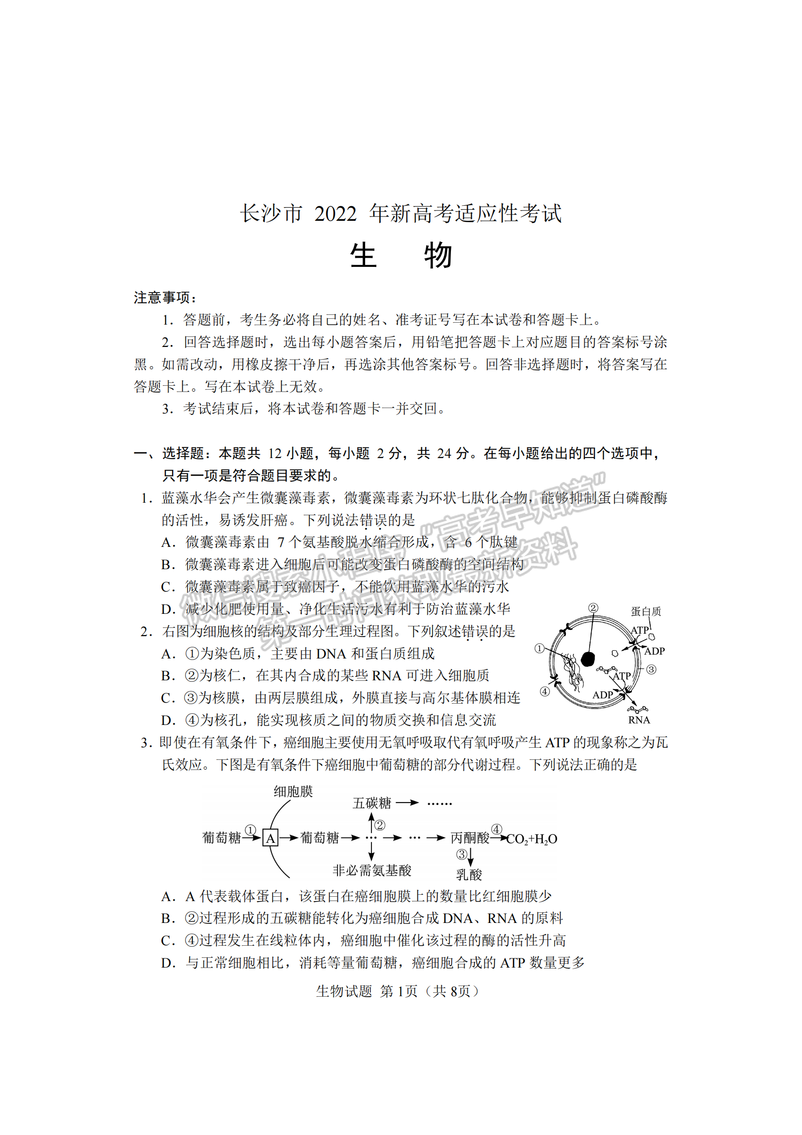 2022屆湖南懷化、長沙高三新高考適應性考試生物試題及答案