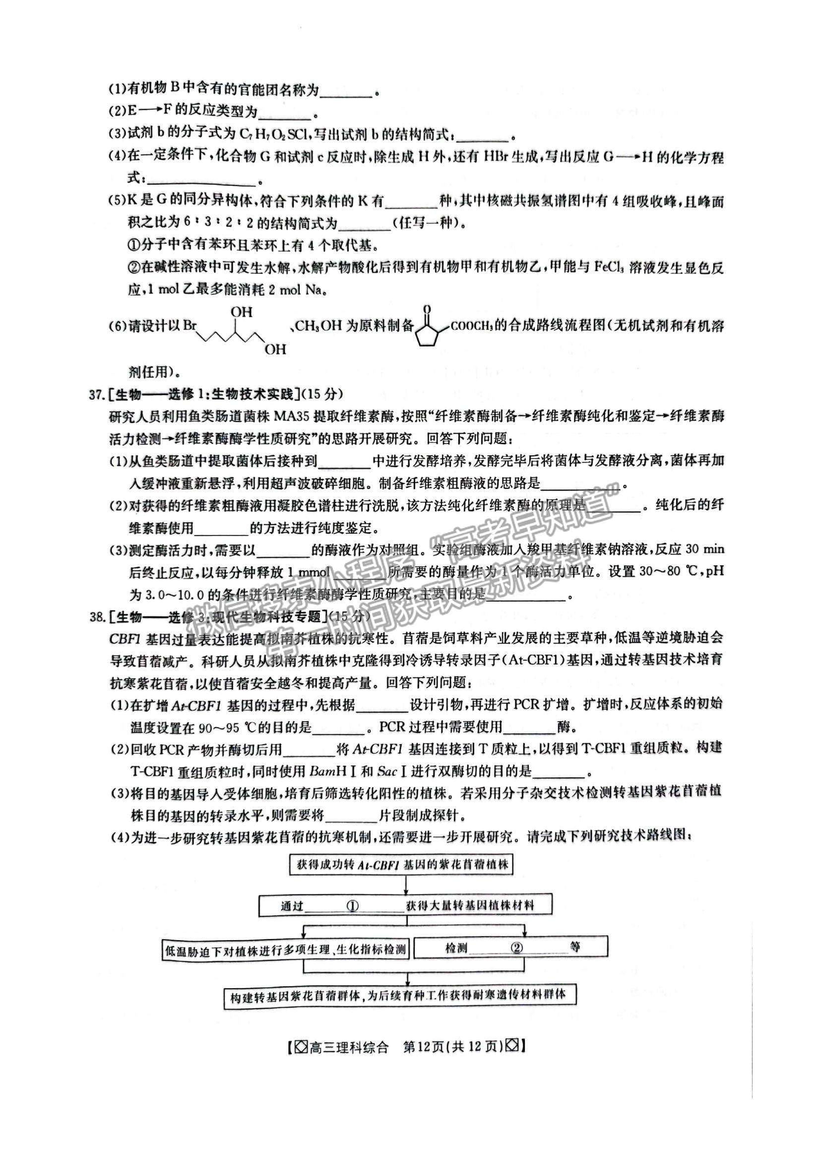 2022陜西省商洛市高三上學(xué)期期末教學(xué)質(zhì)量檢測(cè)理綜試題及參考答案