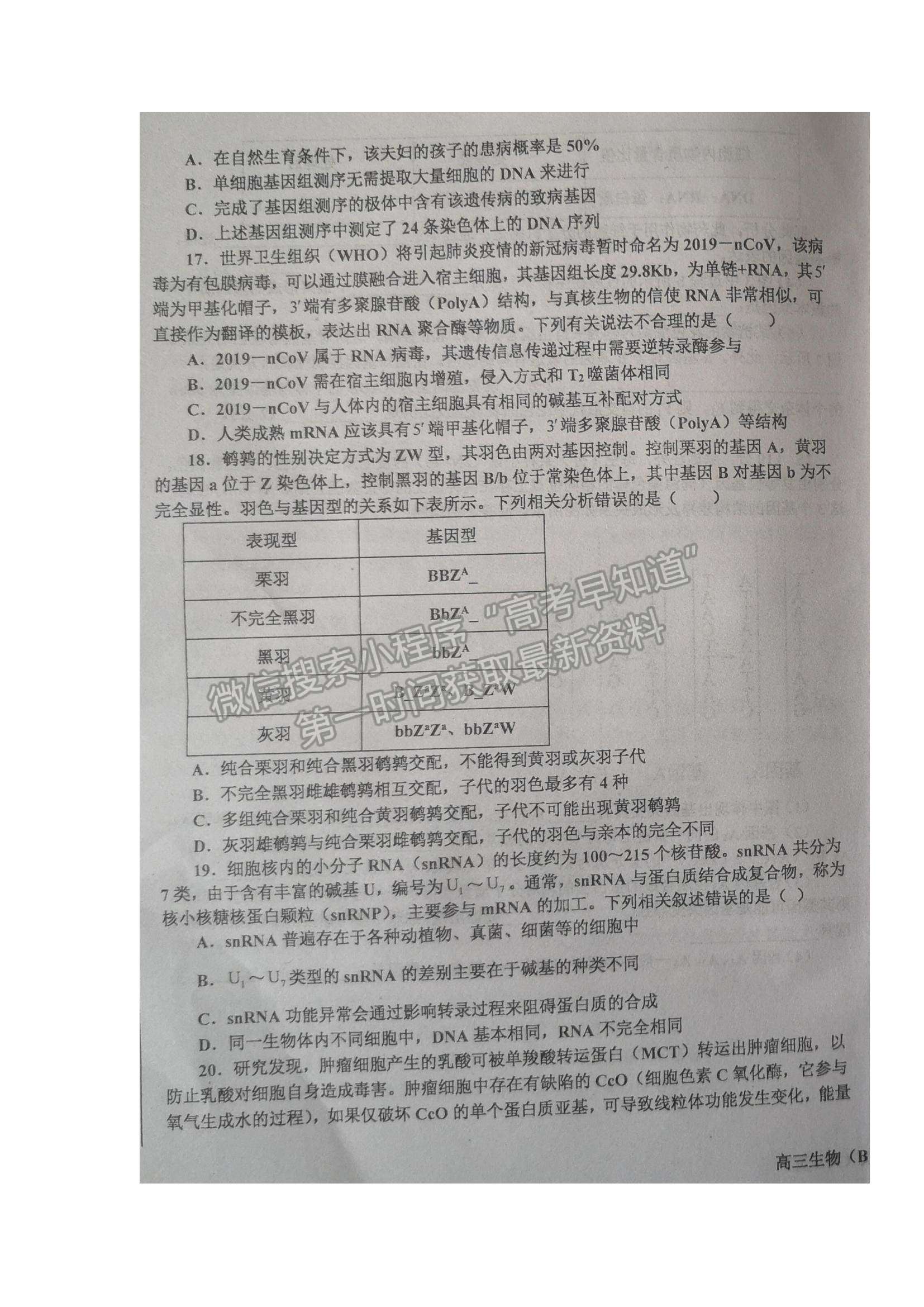 2022辽宁省辽东南协作体高三上学期期中考试生物试题及参考答案