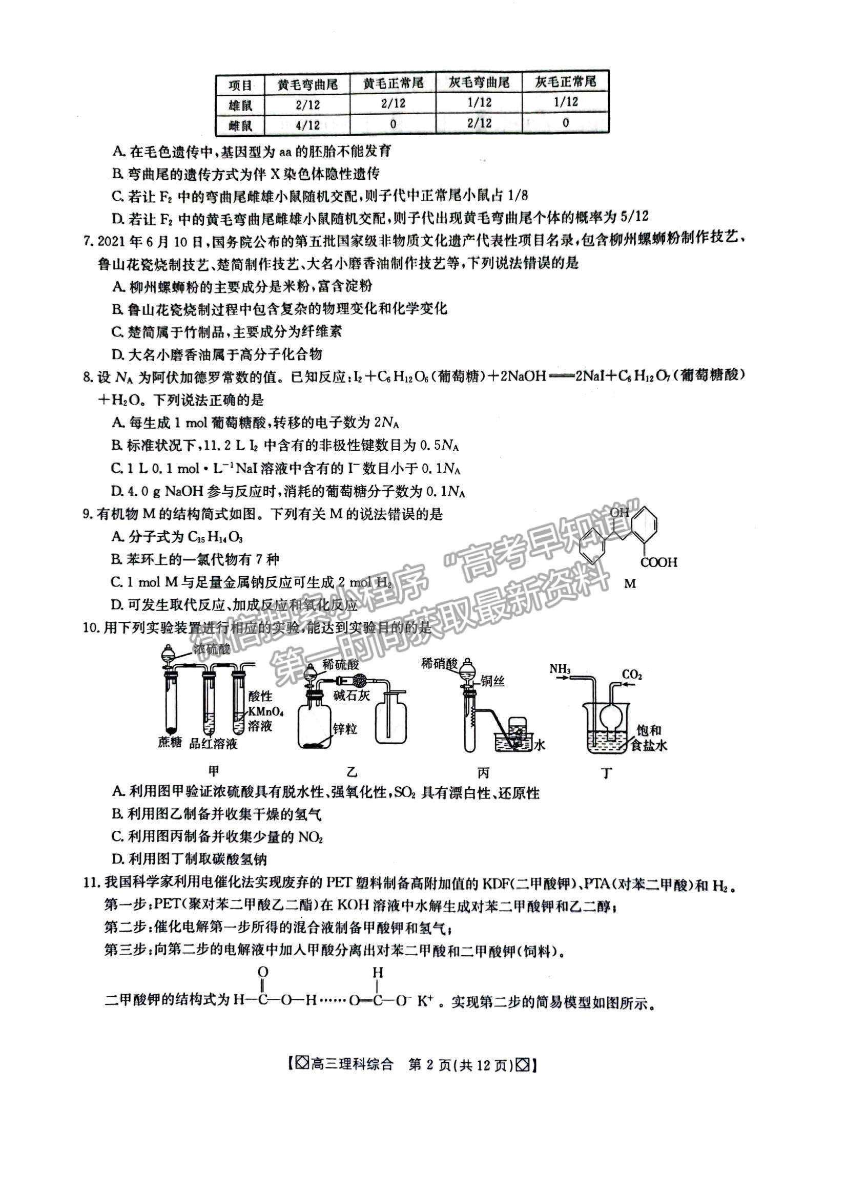 2022陜西省商洛市高三上學期期末教學質(zhì)量檢測理綜試題及參考答案