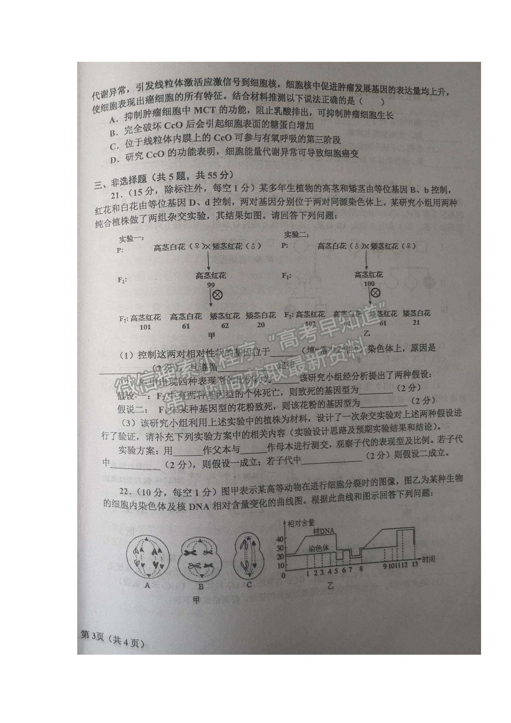 2022辽宁省辽东南协作体高三上学期期中考试生物试题及参考答案