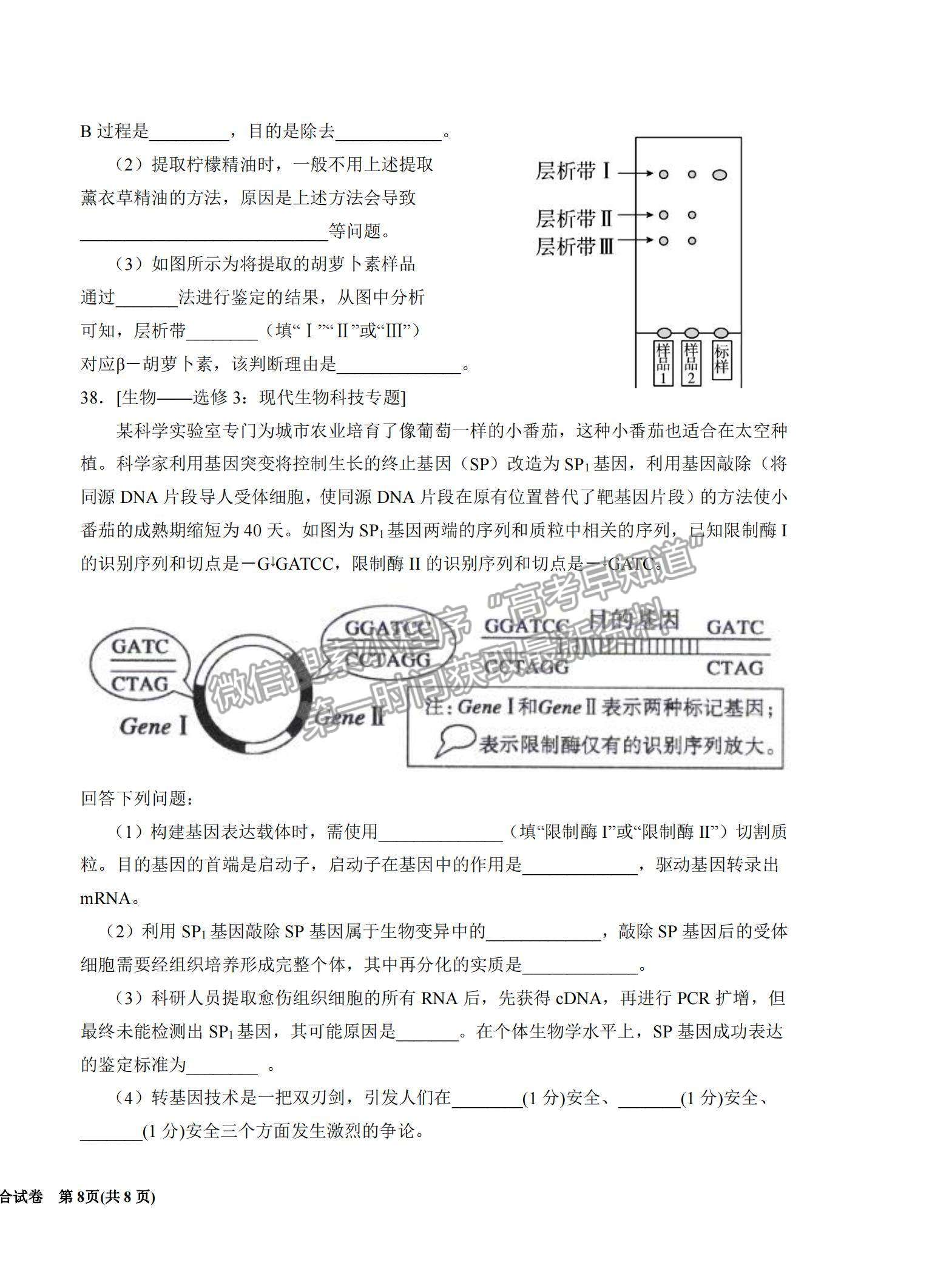 2022寧夏銀川一中高三上學(xué)期第四次月考理綜試題及參考答案