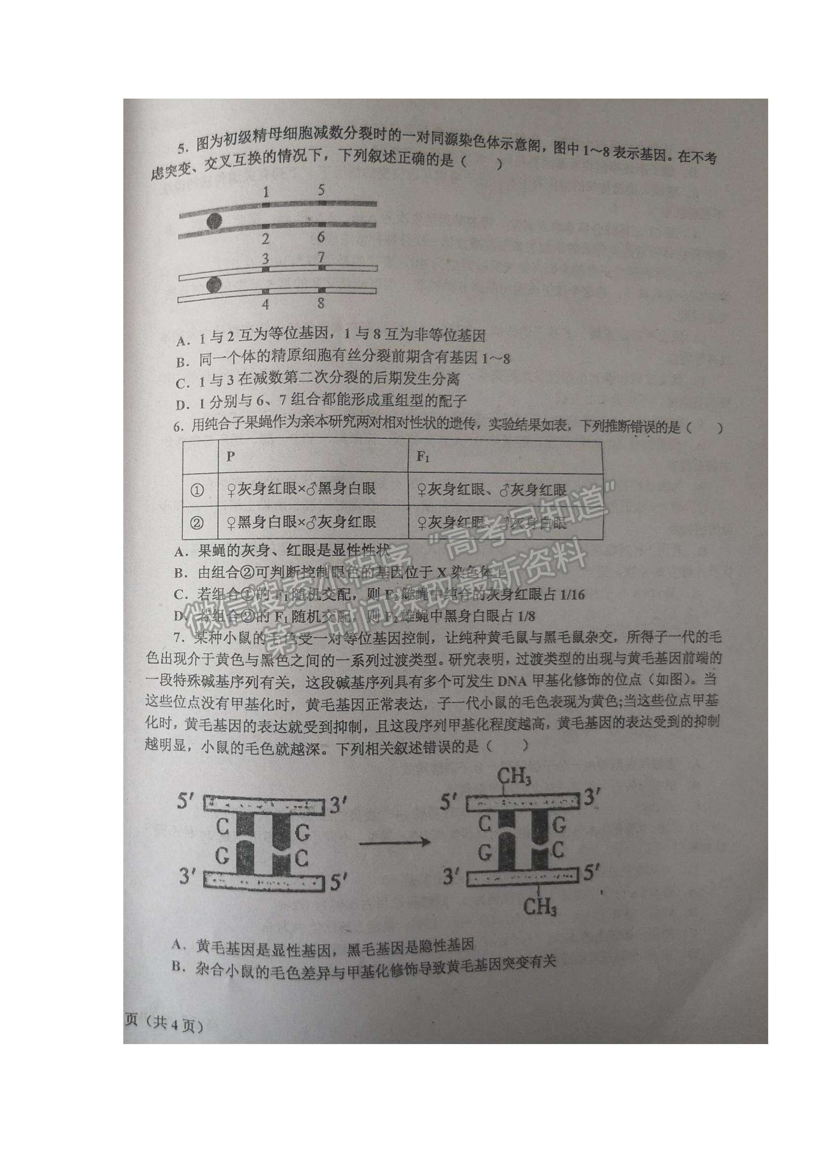 2022遼寧省遼東南協(xié)作體高三上學期期中考試生物試題及參考答案