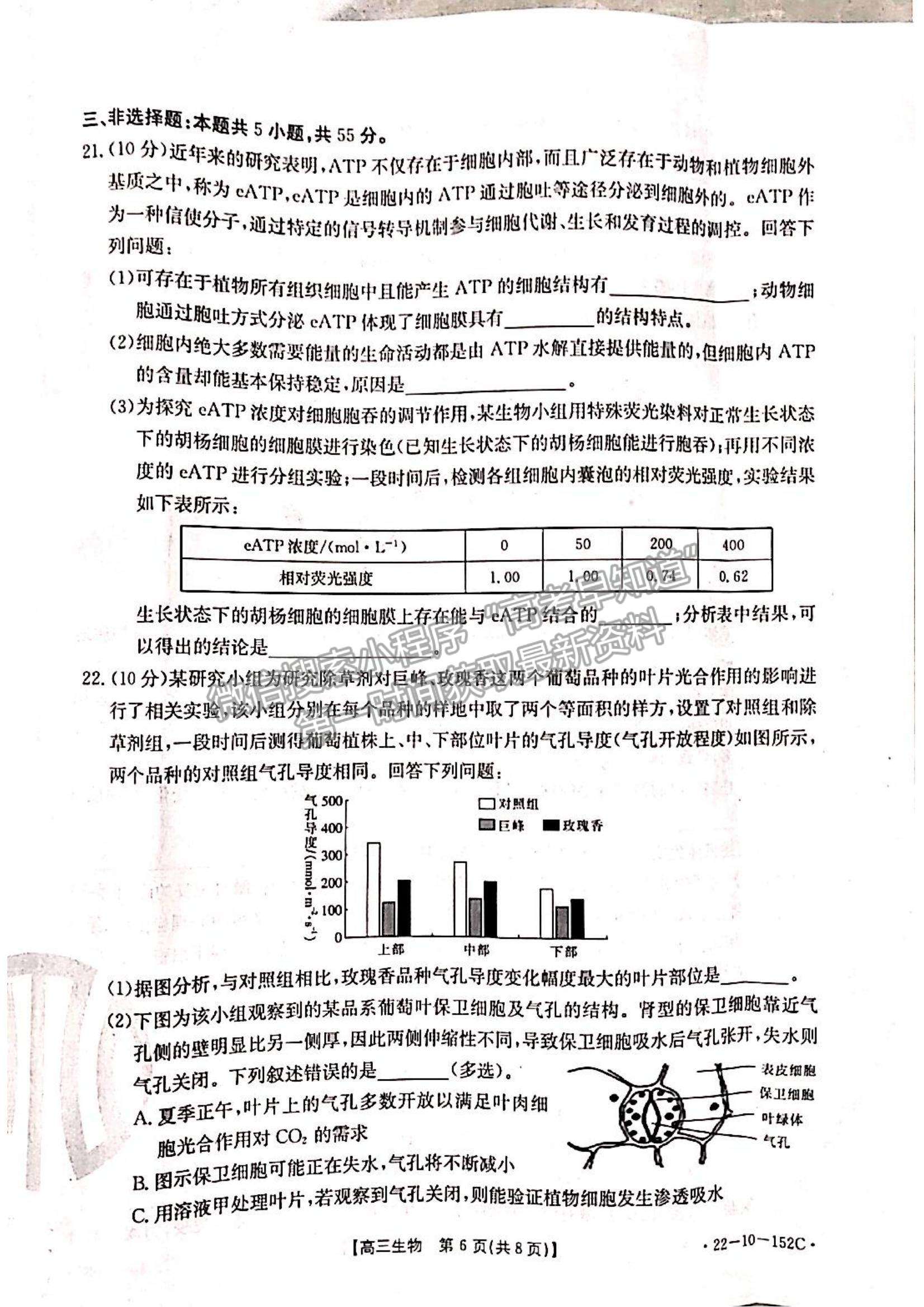 2022遼寧省葫蘆島市協(xié)作校高三11月第二次聯(lián)考（22-10-152C）生物試題及參考答案