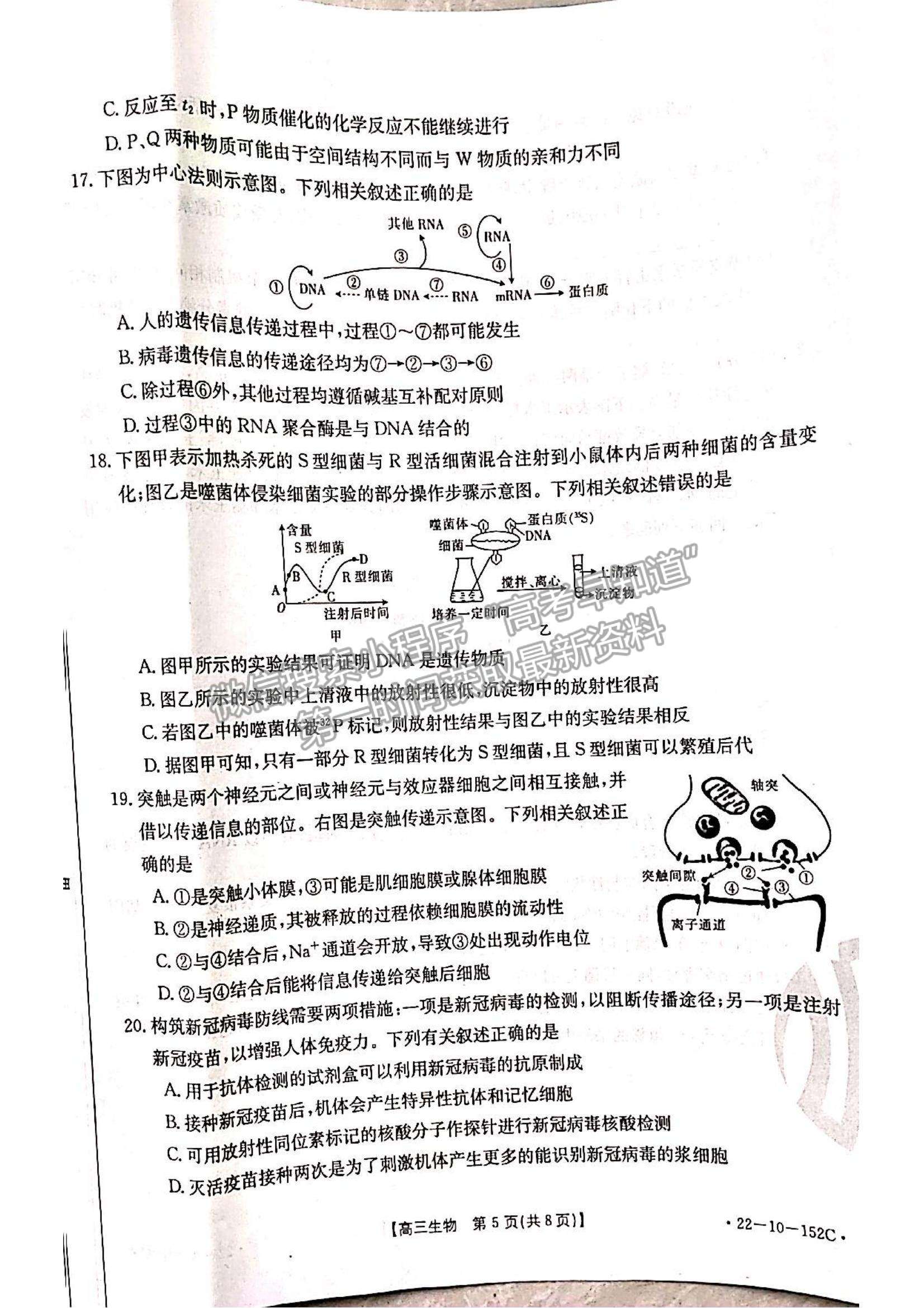 2022遼寧省葫蘆島市協(xié)作校高三11月第二次聯(lián)考（22-10-152C）生物試題及參考答案