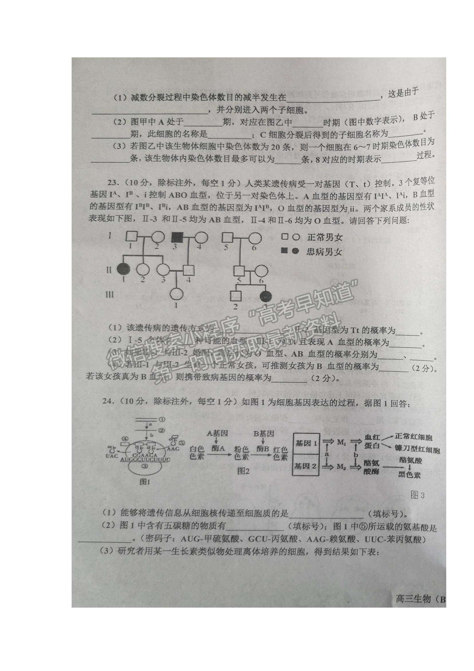 2022遼寧省遼東南協(xié)作體高三上學期期中考試生物試題及參考答案