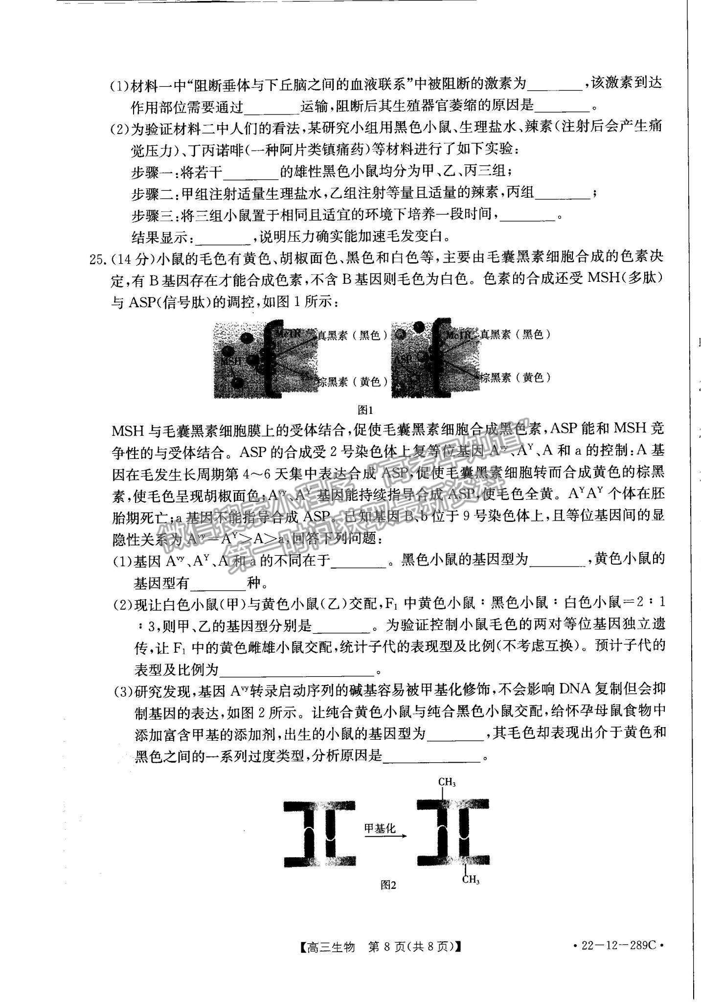 2022遼寧縣級重點高中協(xié)作體高三上學(xué)期期末考試生物試題及參考答案