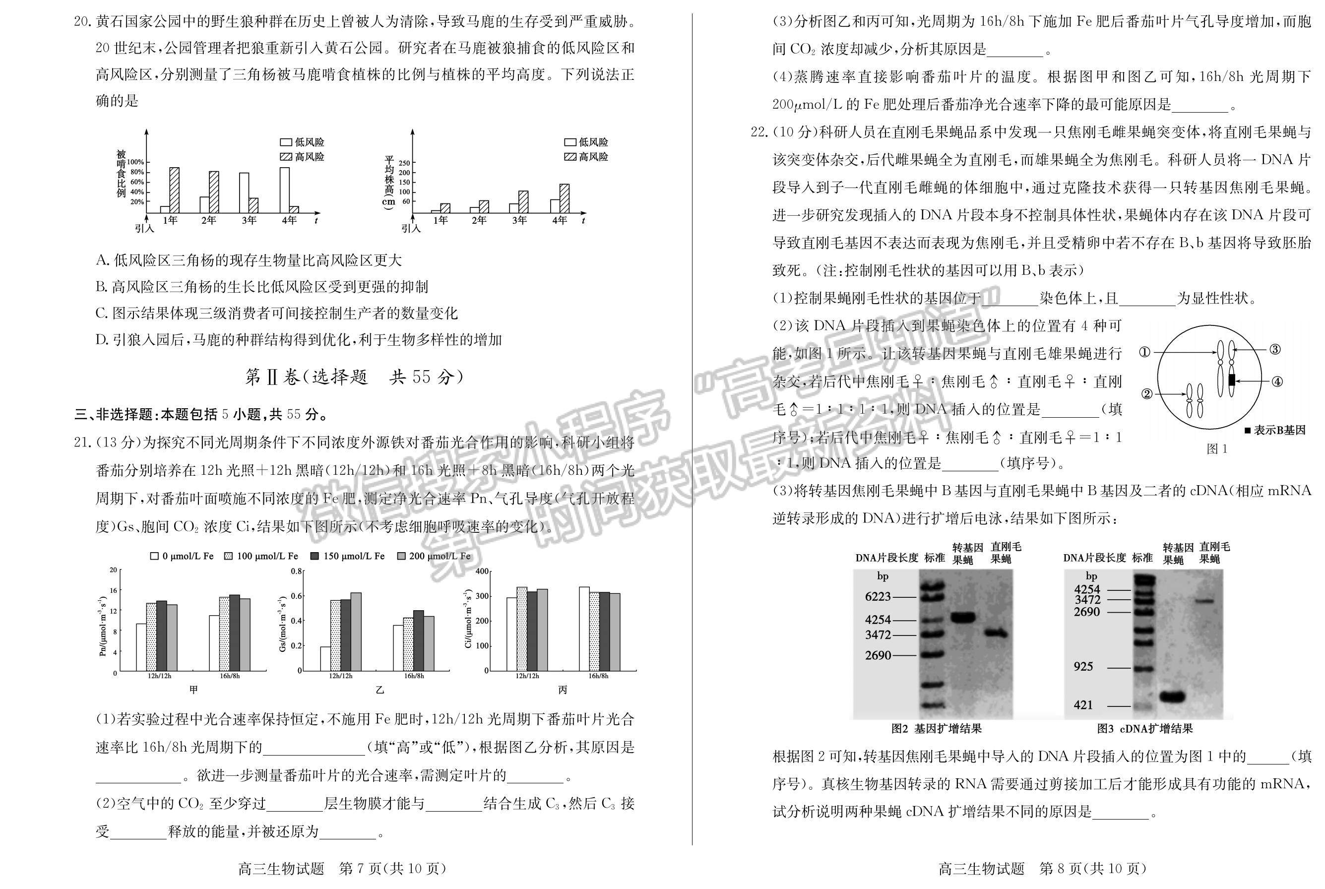 2022屆山東省德州市高三上學(xué)期期末考試 生物試題及參考答案