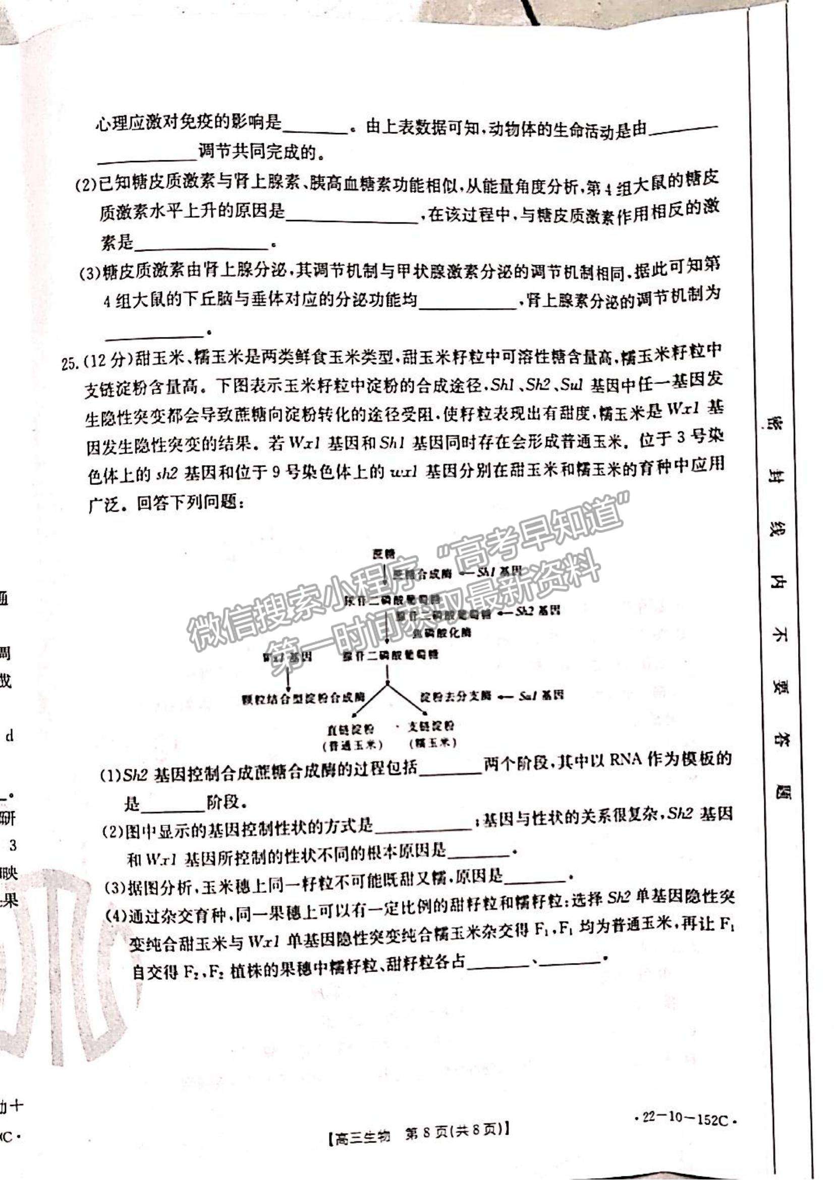 2022遼寧省葫蘆島市協(xié)作校高三11月第二次聯(lián)考（22-10-152C）生物試題及參考答案