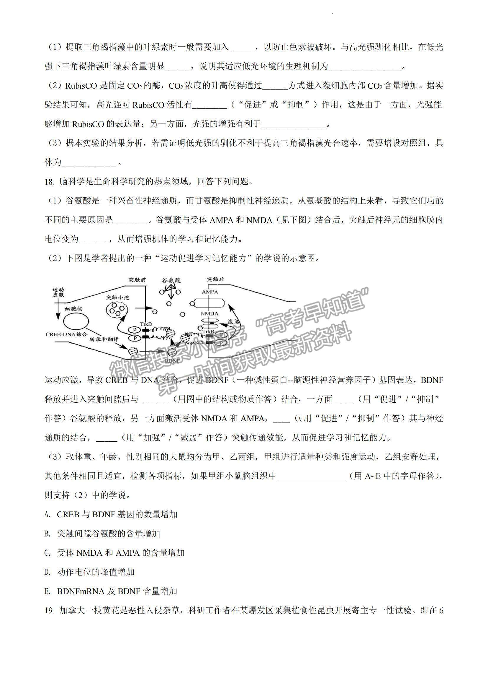 2022廣東省惠州市高三第三次調(diào)研生物試題及參考答案