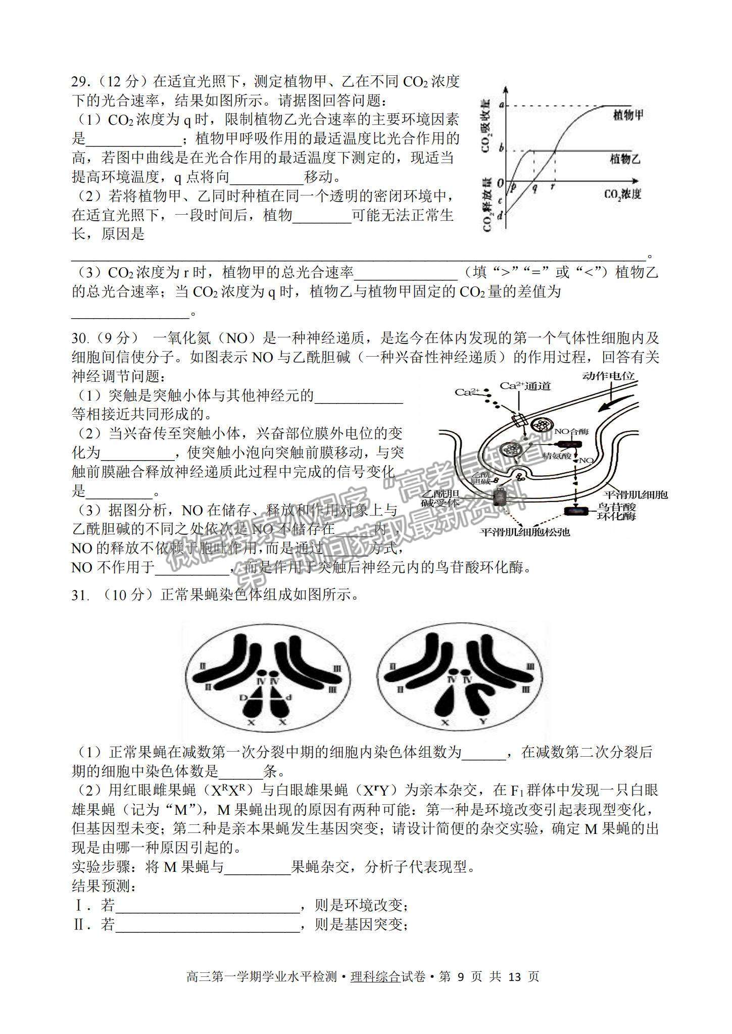 2022甘肅省張掖市高三上學期期末檢測理綜試題及參考答案