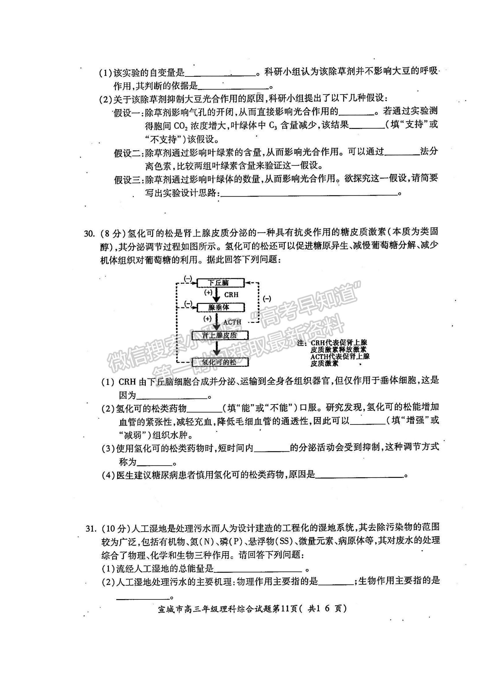 2022安徽省宣城市高三上學(xué)期期末考試?yán)砭C試題及參考答案