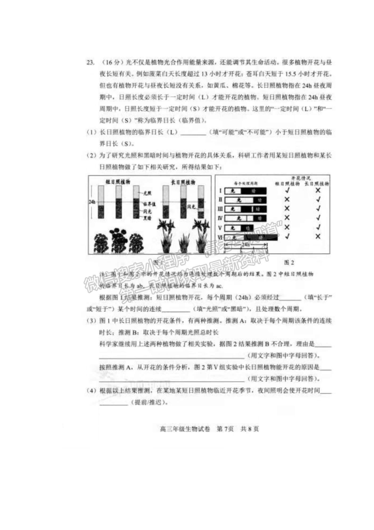 2022湖北武昌區(qū)高三年級1月質(zhì)量檢測生物試卷及答案