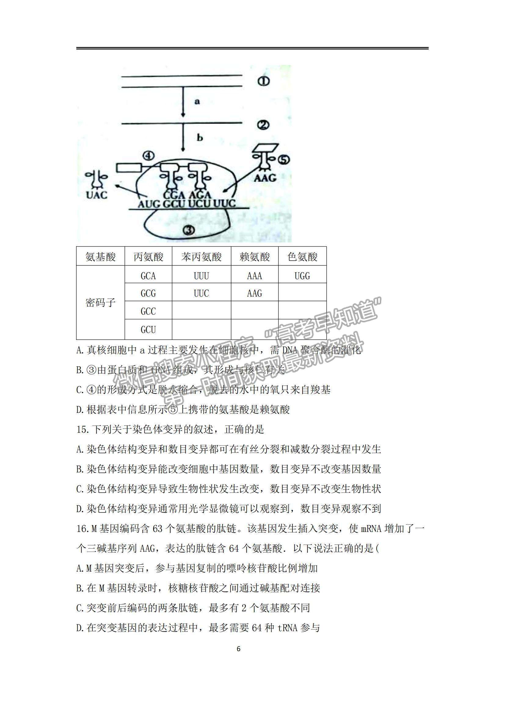 2022廣東華南師大附中高三1月模擬考試生物試題及參考答案