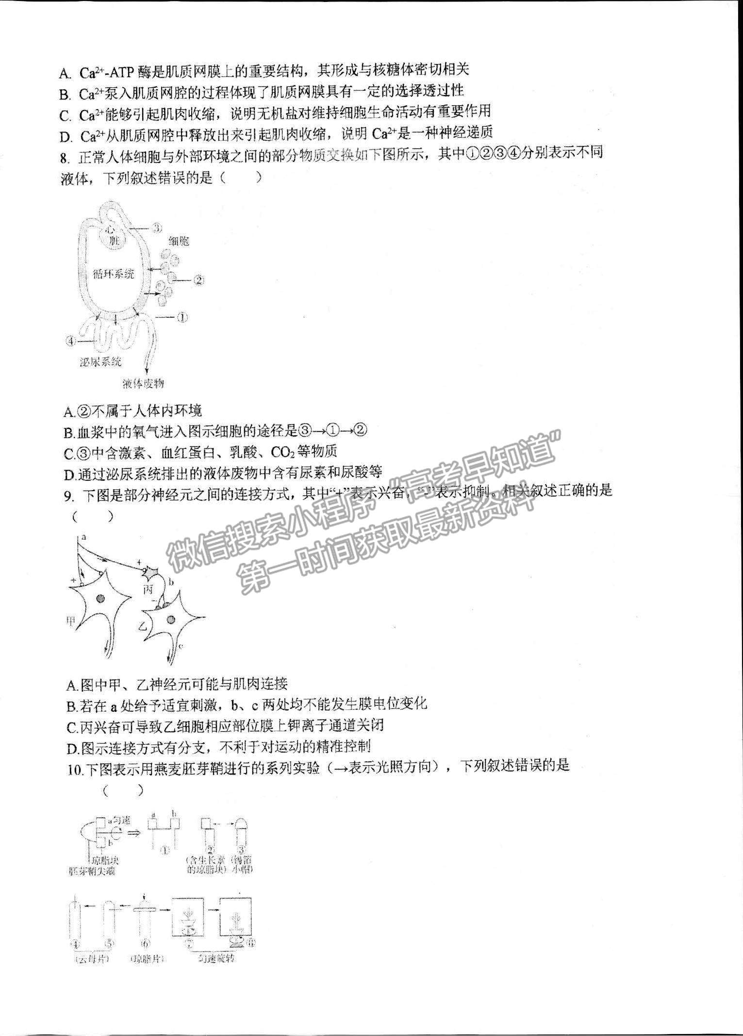 2022浙江省杭州二中高三上學期模擬考生物試題及參考答案