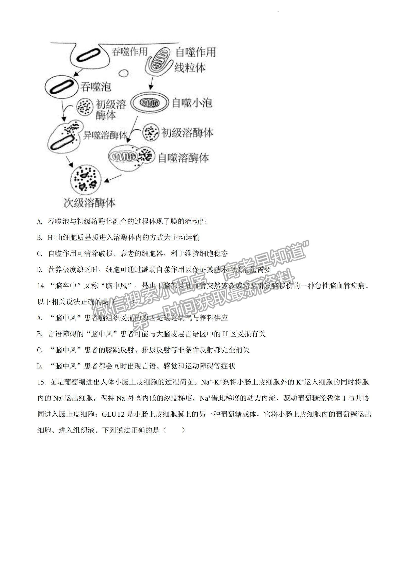 2022廣東省惠州市高三第三次調(diào)研生物試題及參考答案