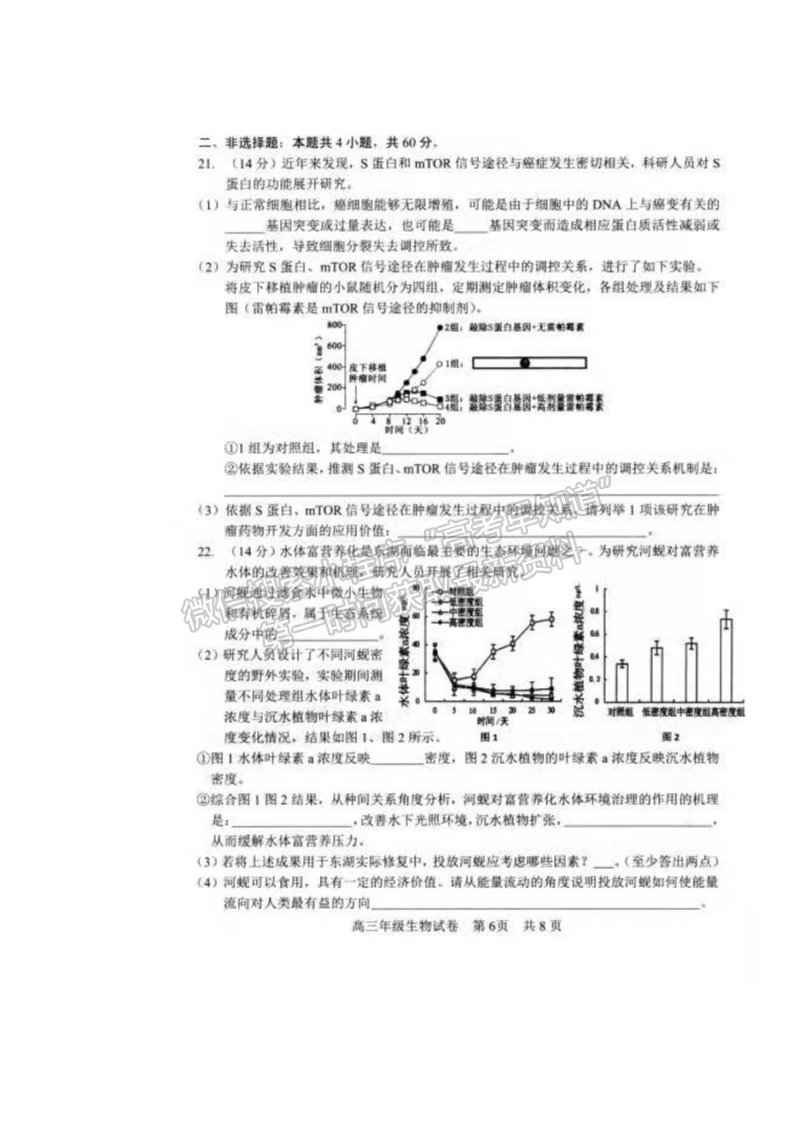 2022湖北武昌區(qū)高三年級(jí)1月質(zhì)量檢測(cè)生物試卷及答案