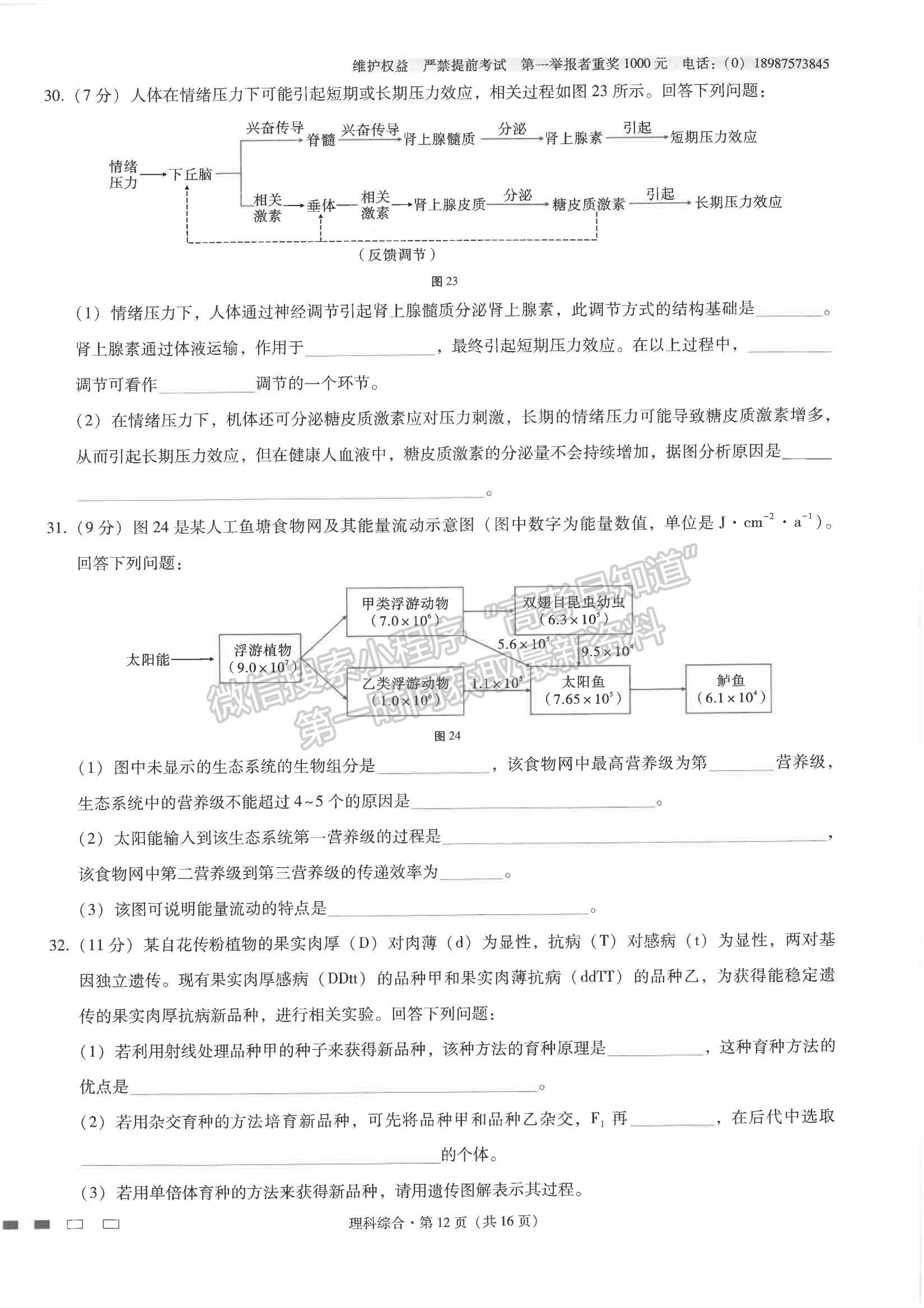 2022云師大附中高考適應(yīng)性月考卷（七）理綜試題及參考答案