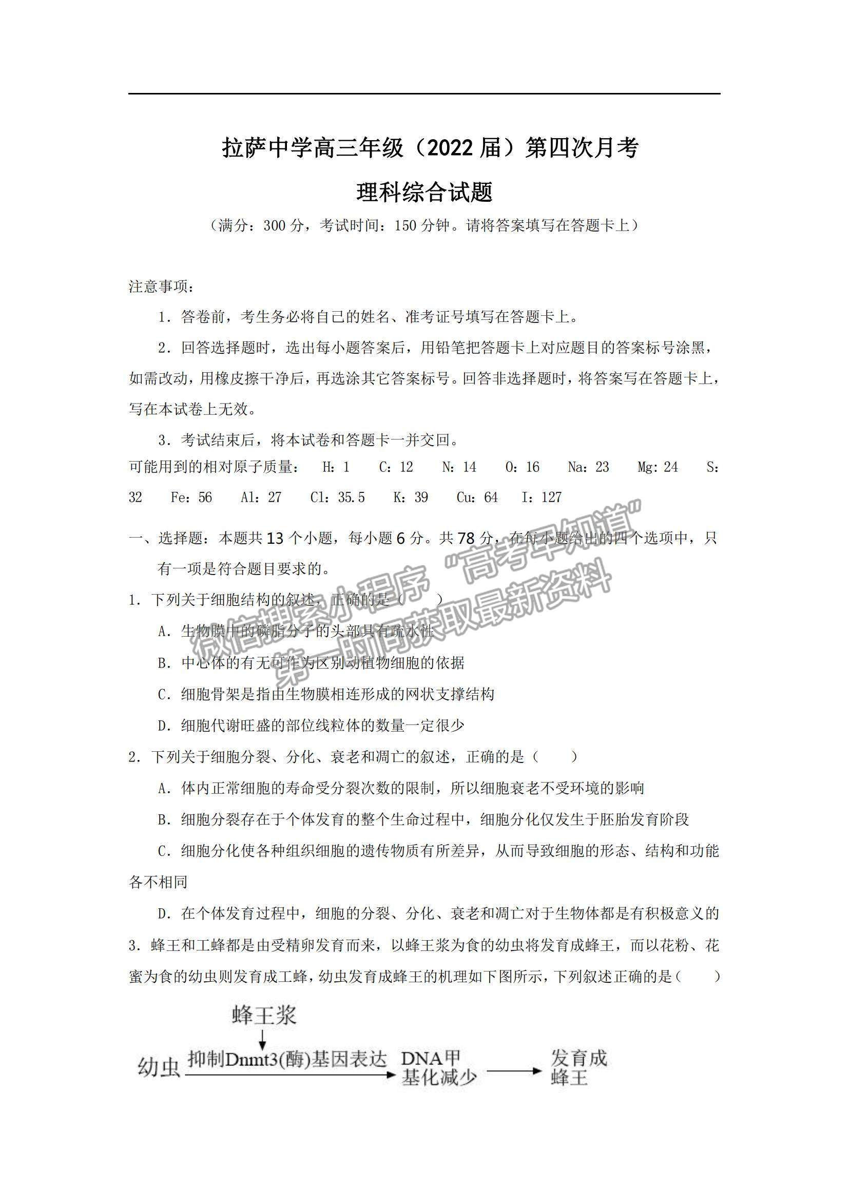 2022西藏拉薩中學(xué)高三第四次月考理綜試題及參考答案