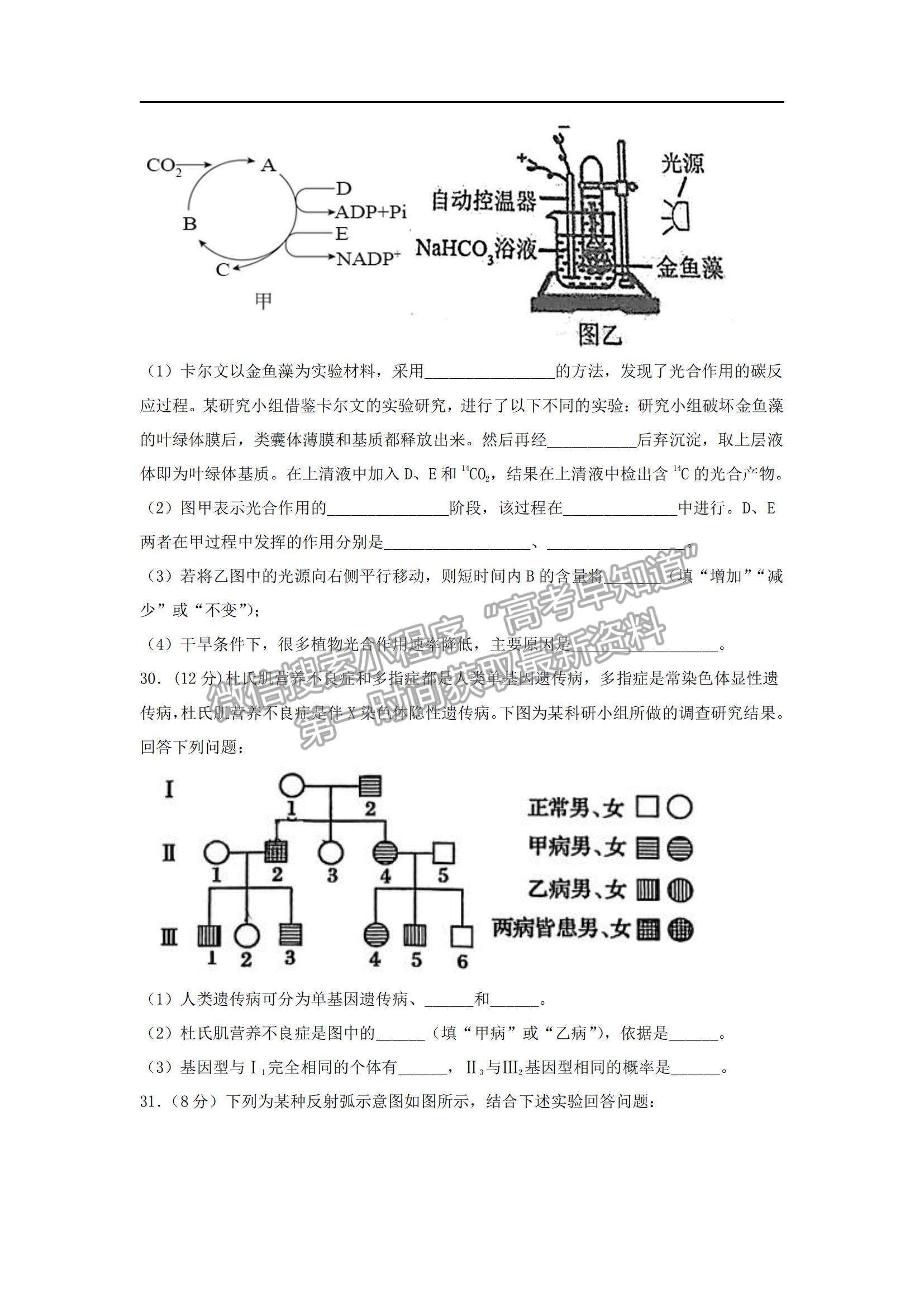 2022西藏拉薩中學高三第四次月考理綜試題及參考答案