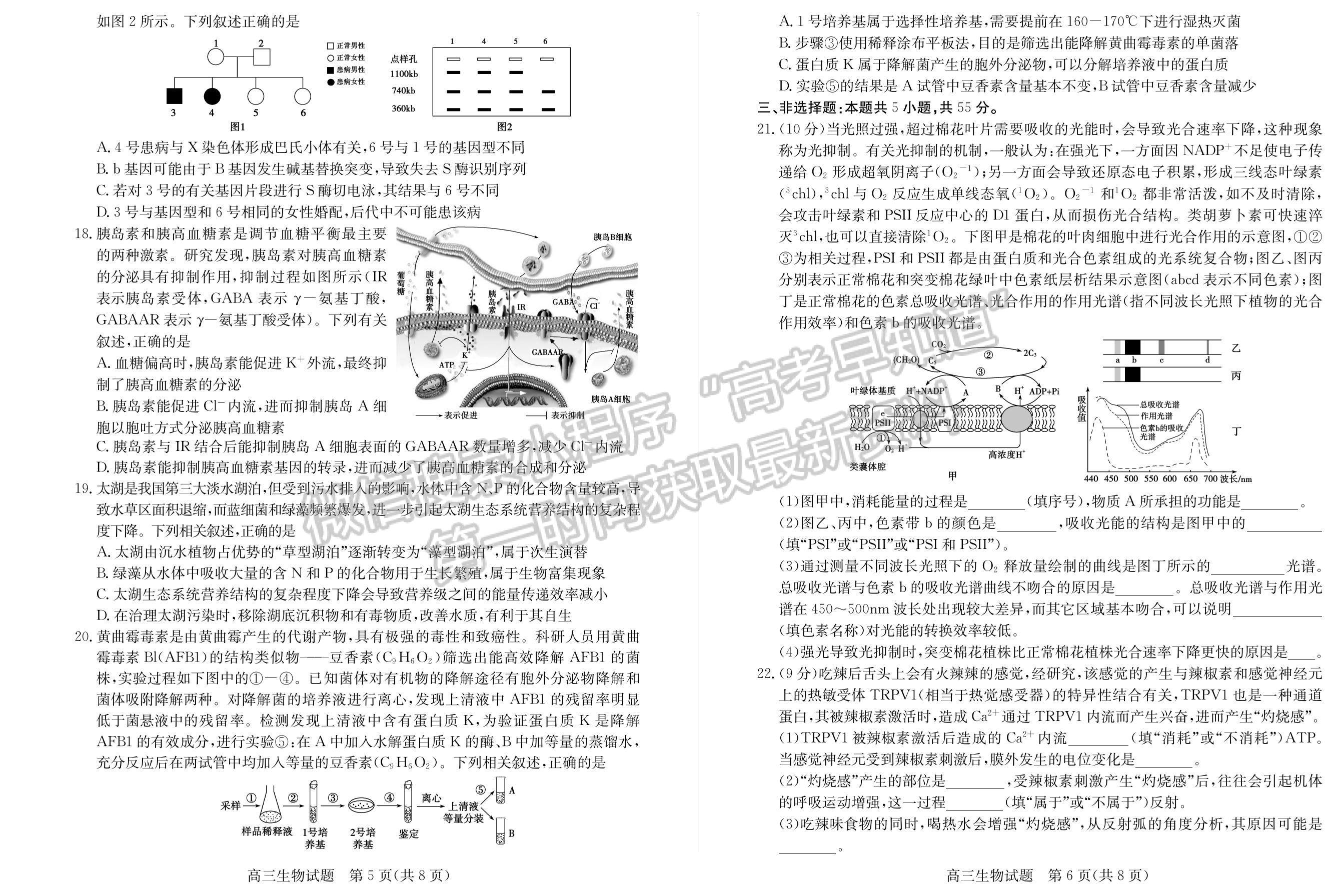 2022山東棗莊一調(diào)生物試卷及答案